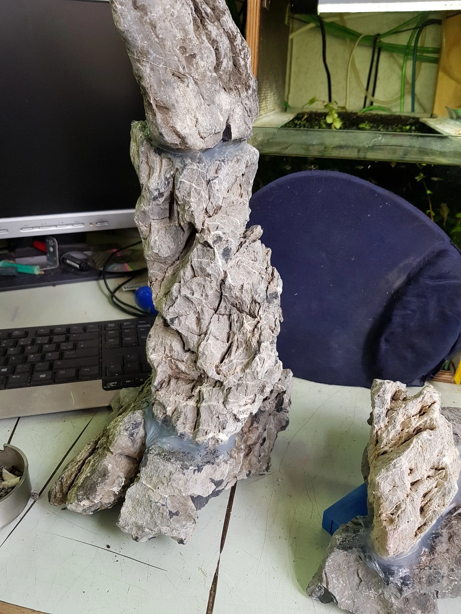 20190319_144633.webp