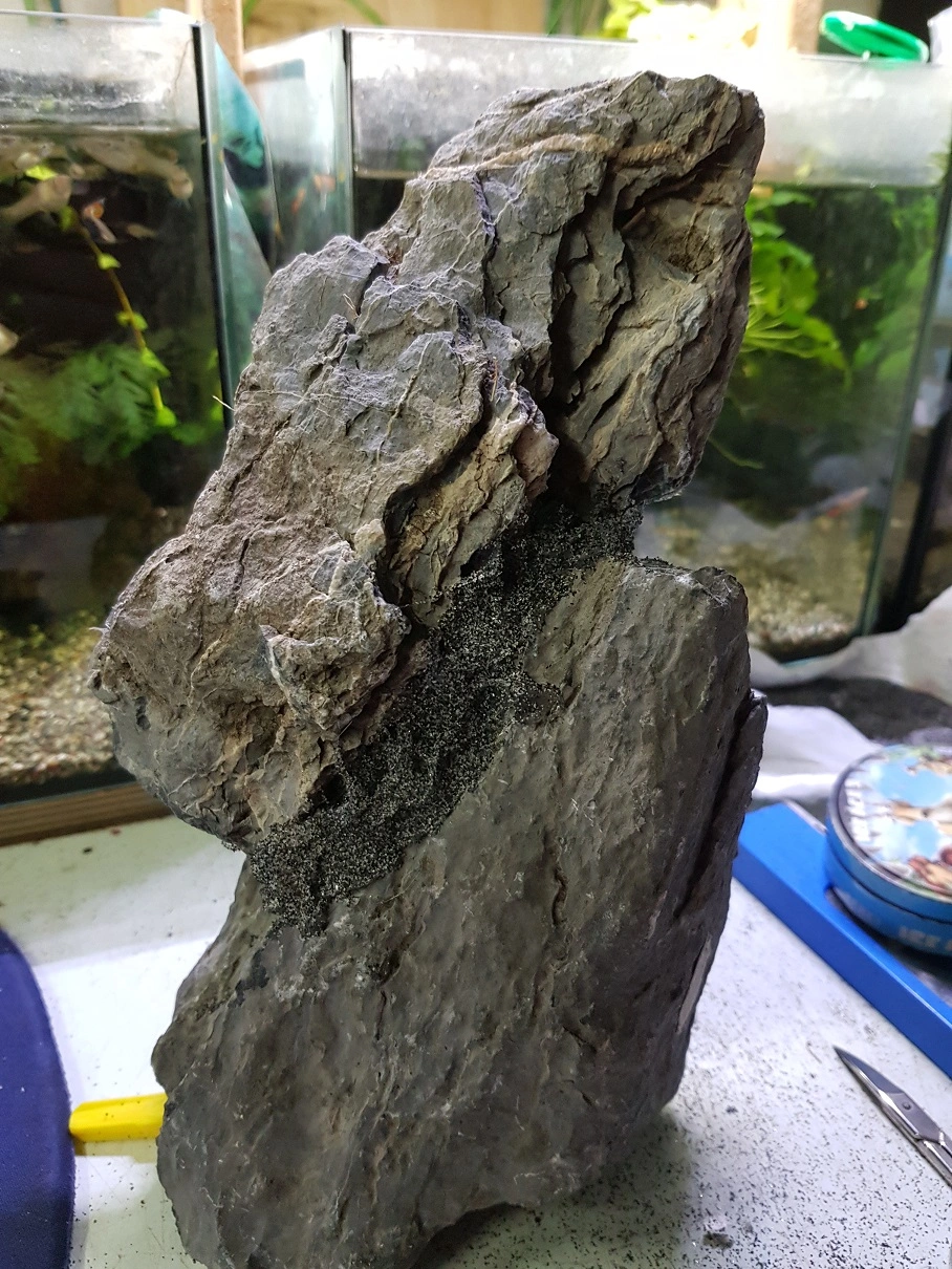 20190321_193534.webp