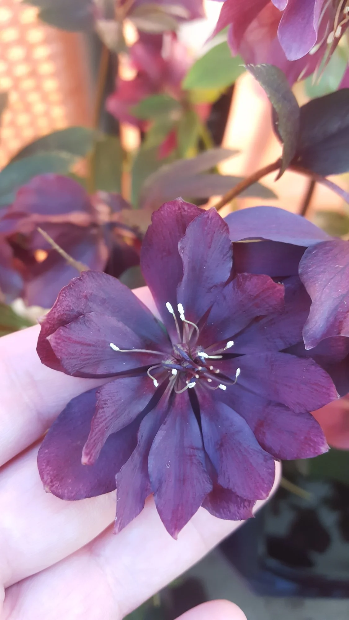 20190322_172816.webp
