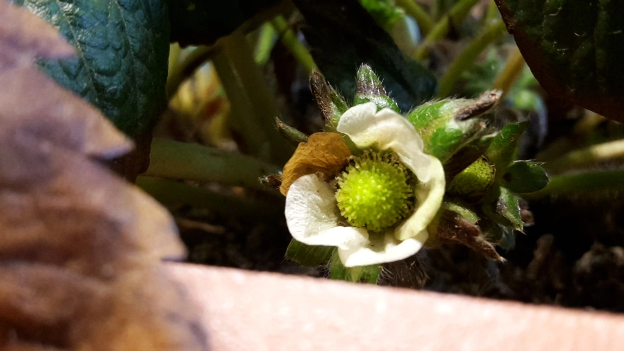 20190324_160619.webp