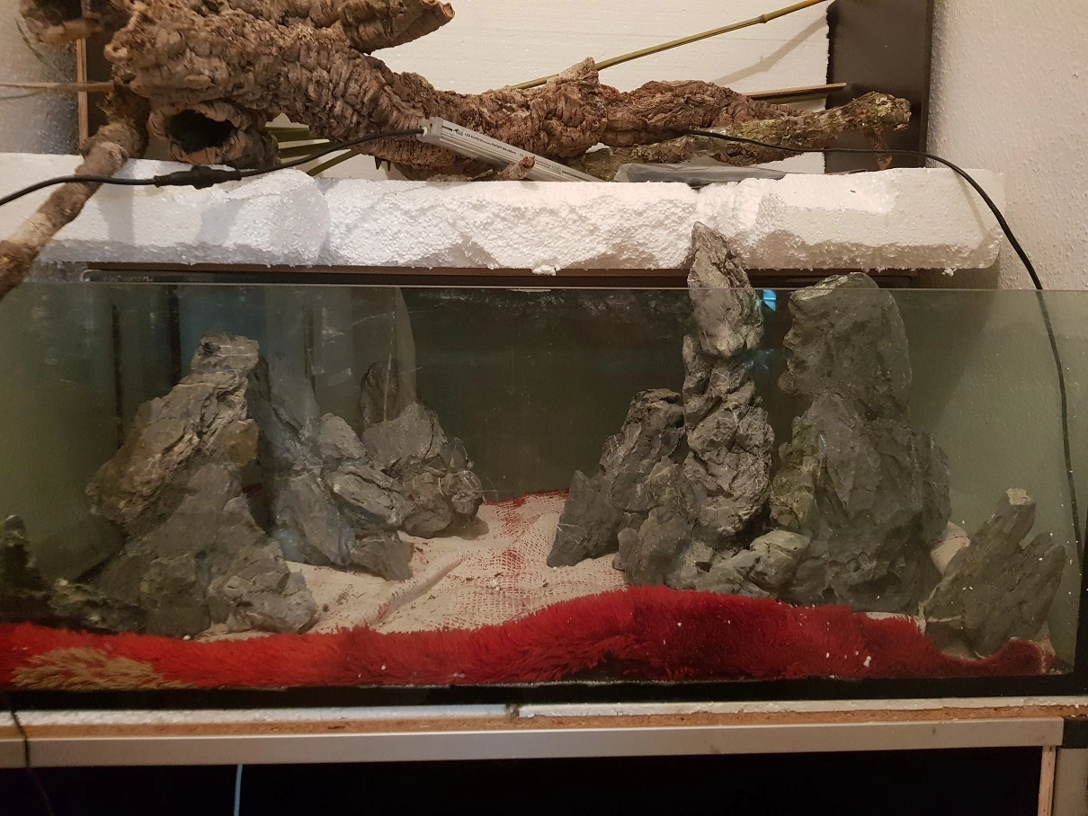 20190325_215531.webp