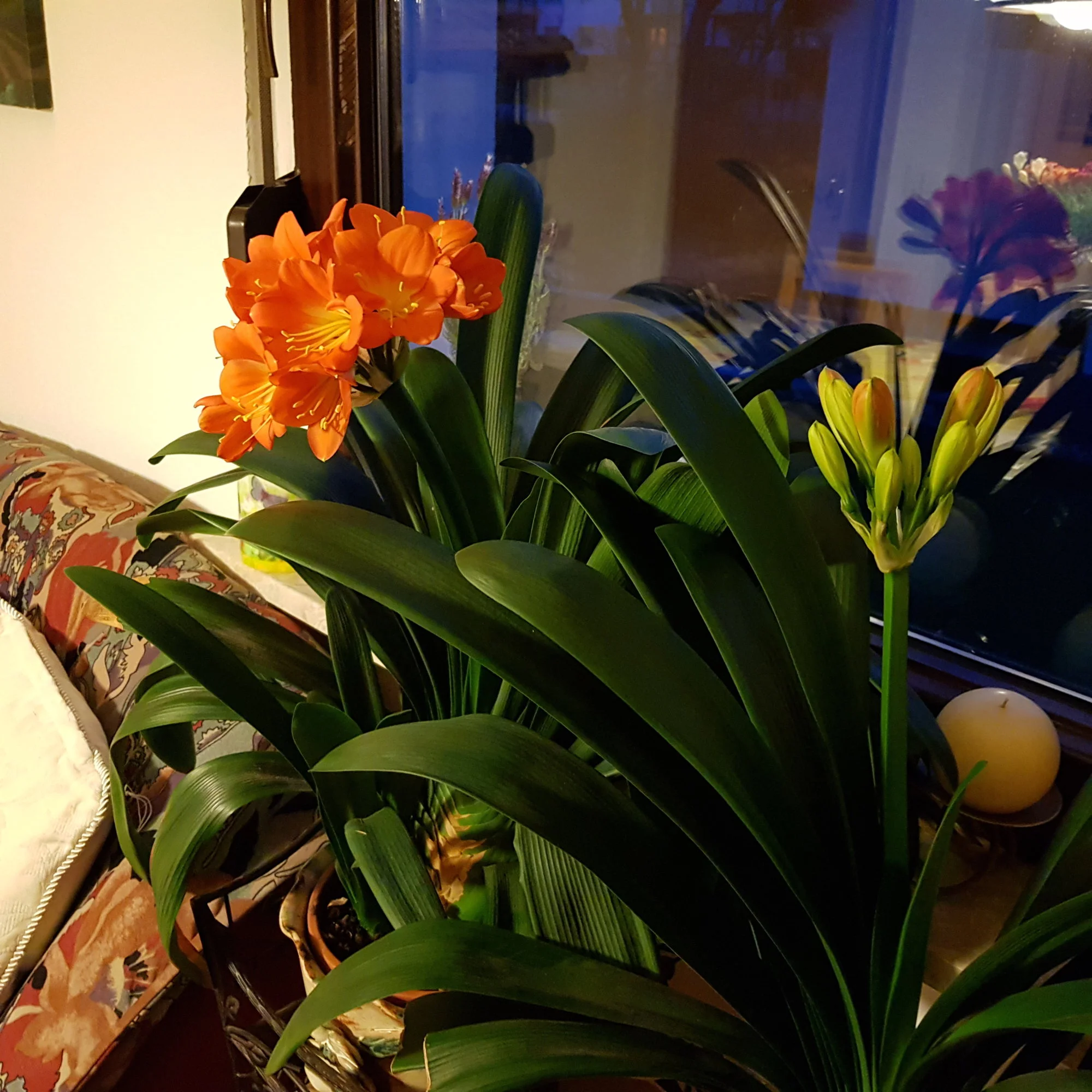 20190327_190927.webp