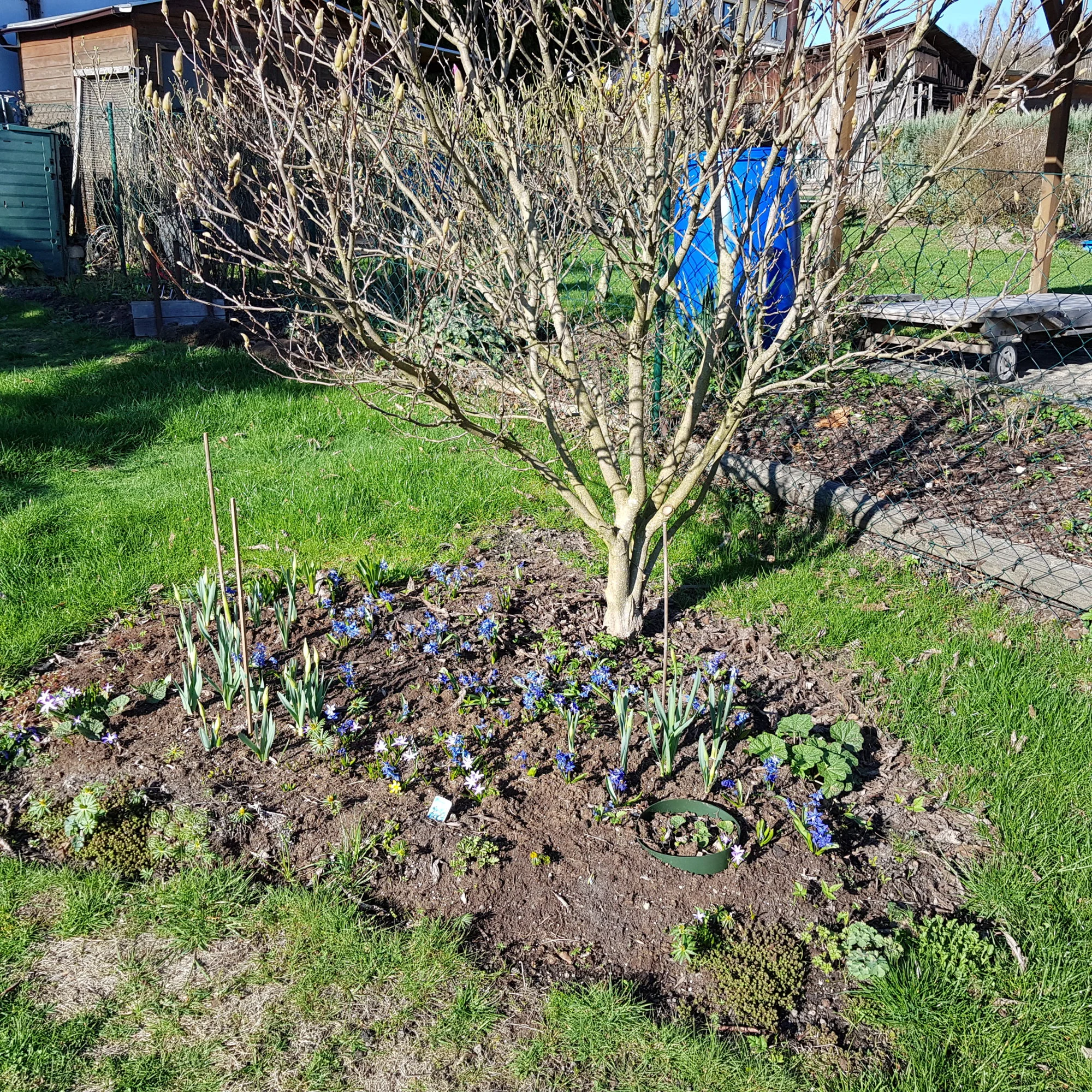 20190329_160624.webp