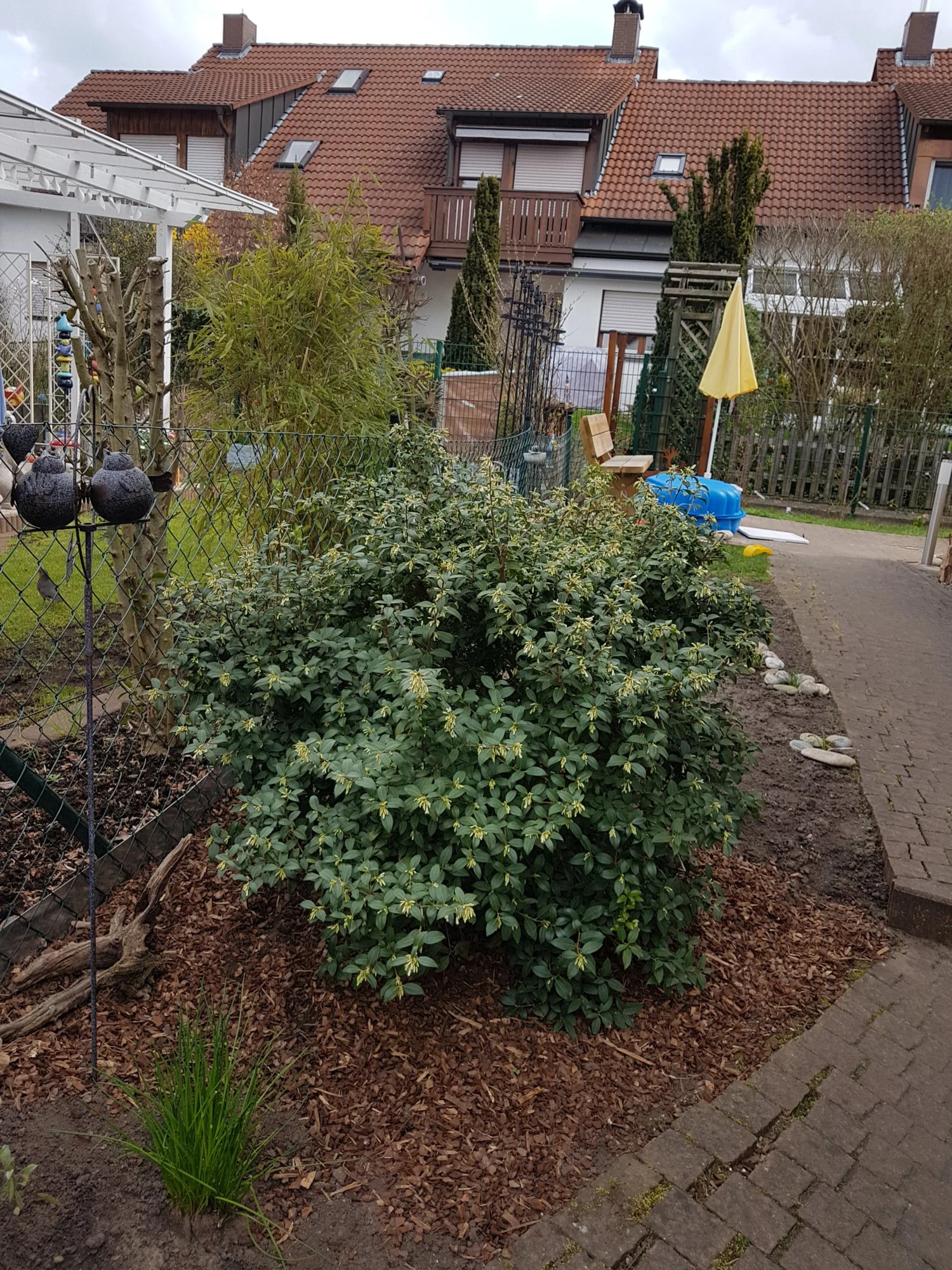 20190408_121759.webp