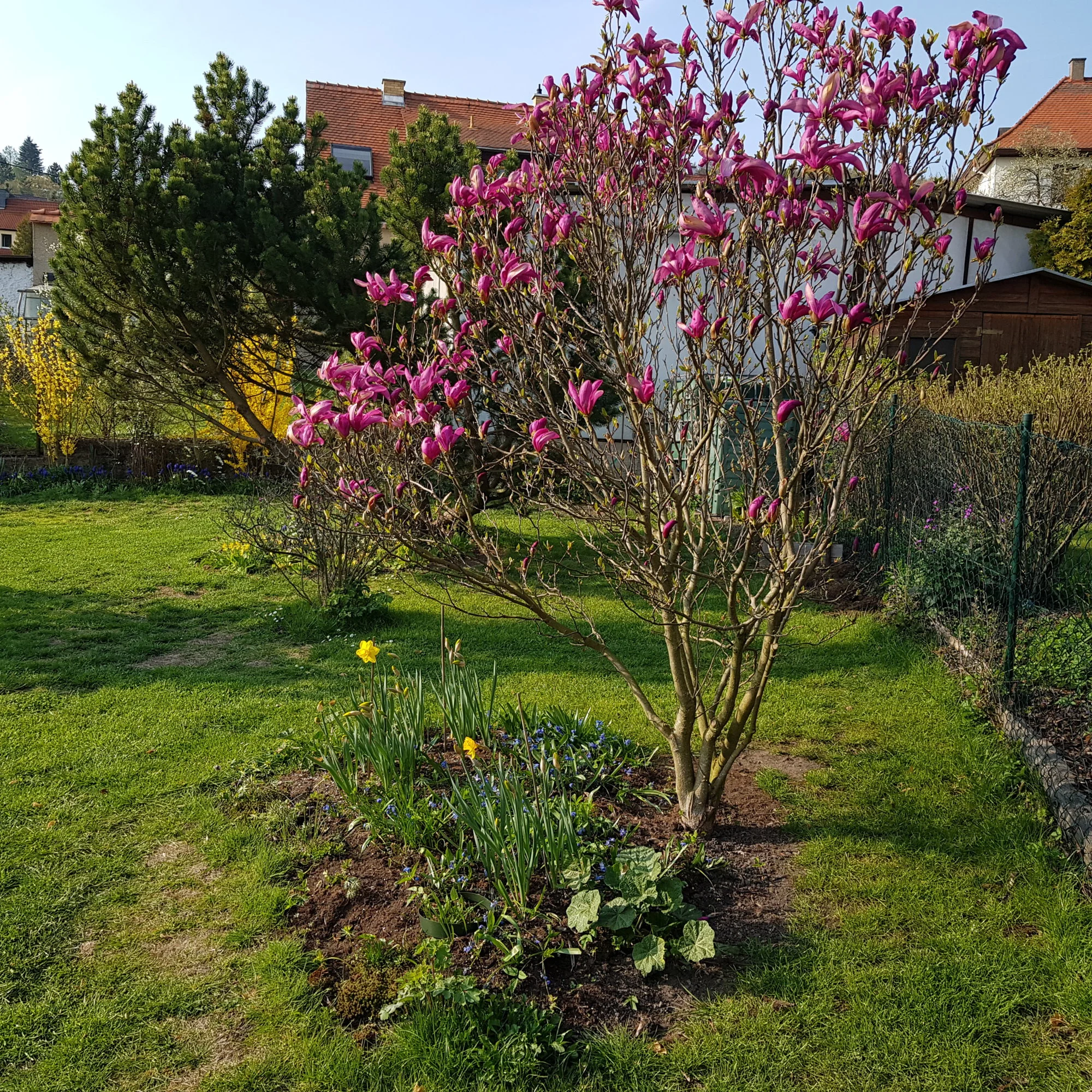 20190417_171338.webp