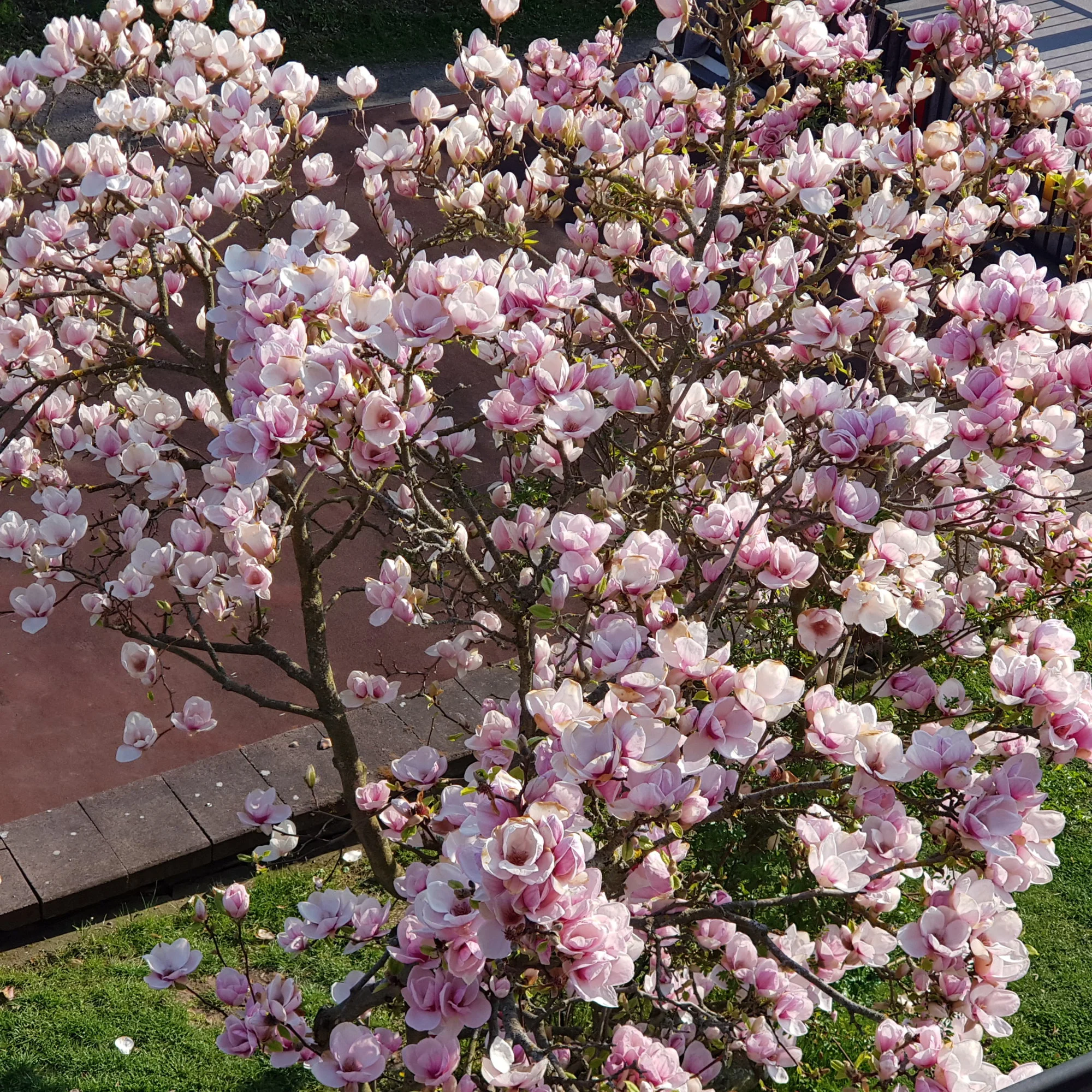 20190417_172324.webp
