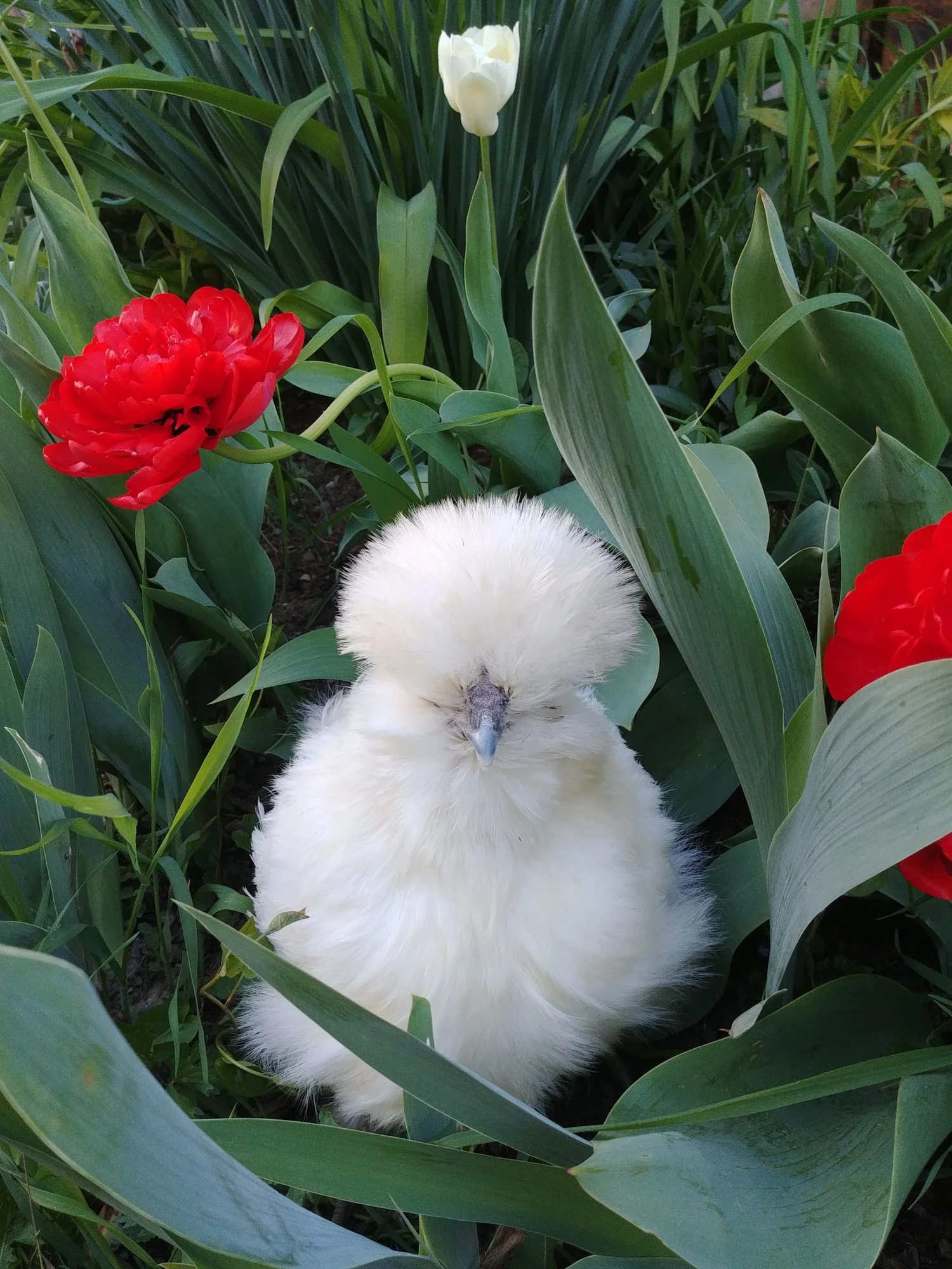 20190418_190847.webp