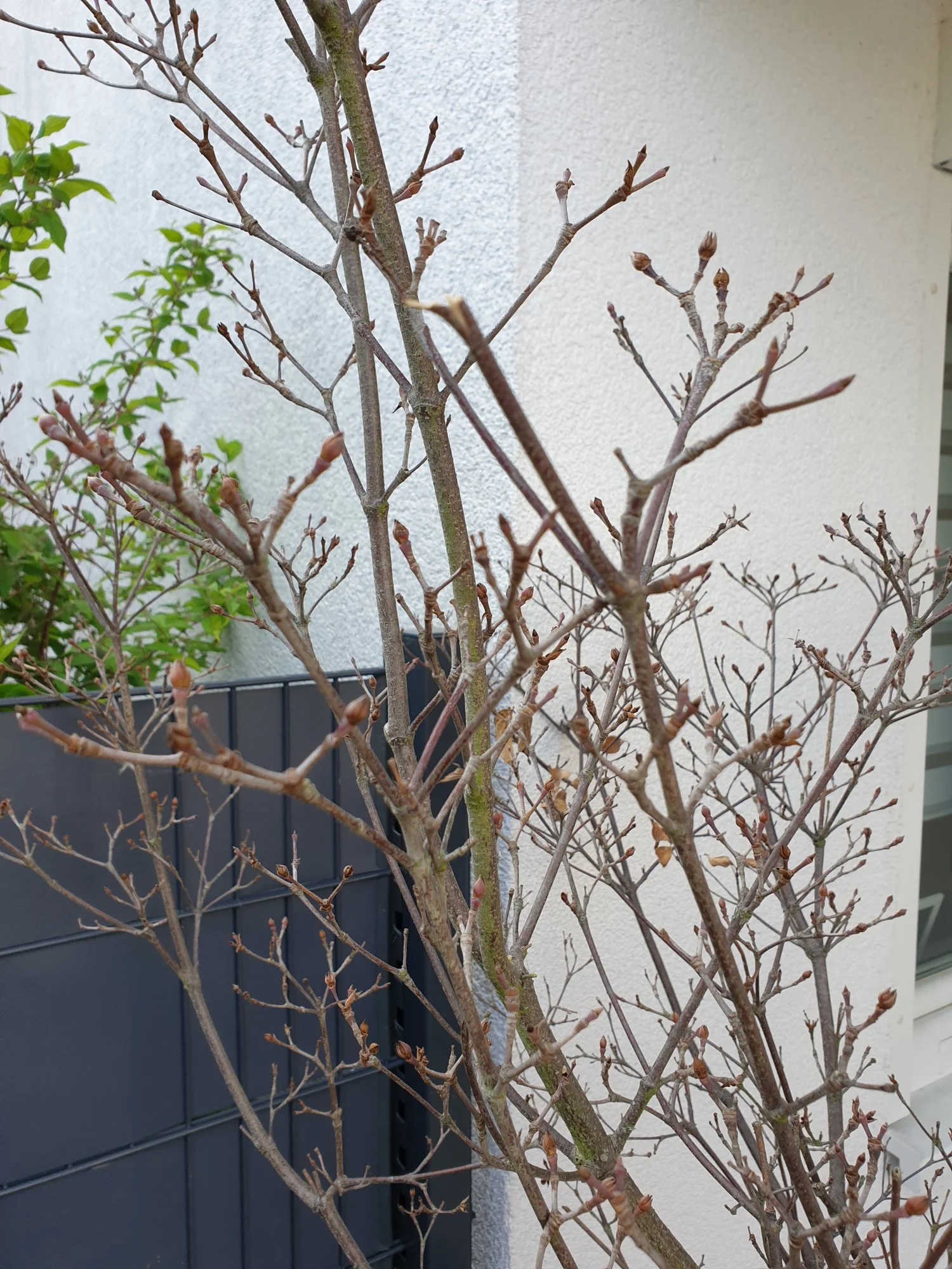 20190422_173518.webp