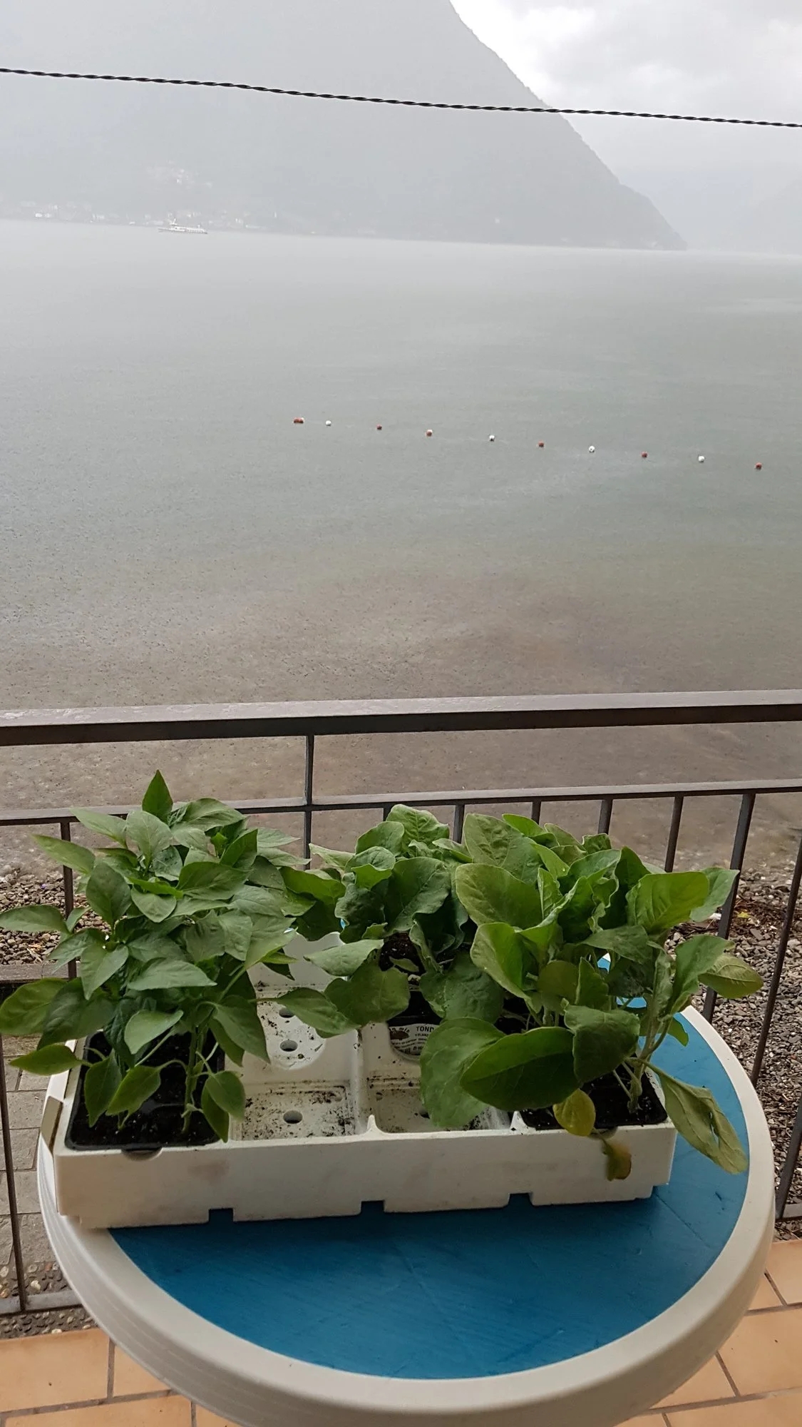 20190424_192815.webp