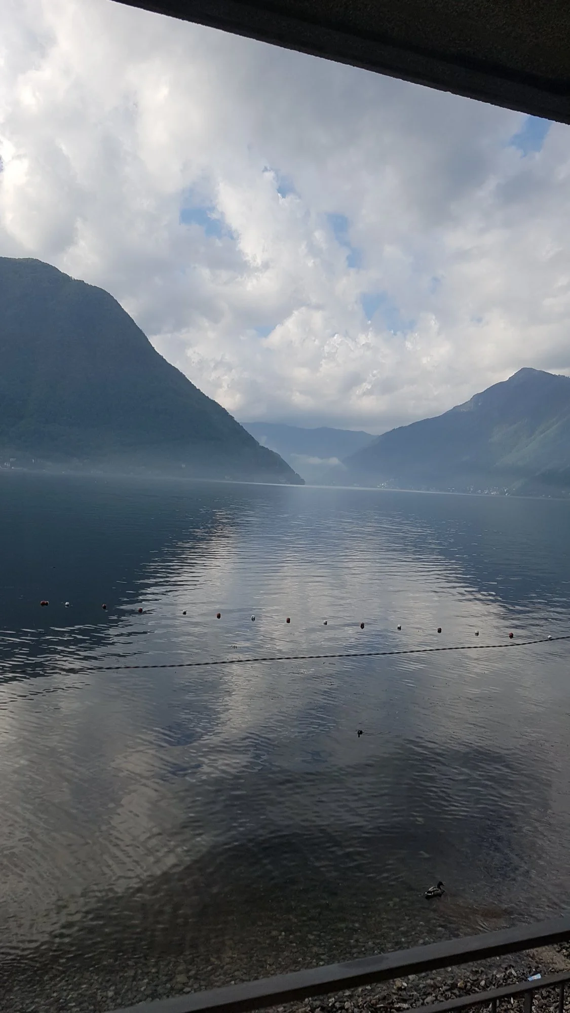 20190425_090434.webp
