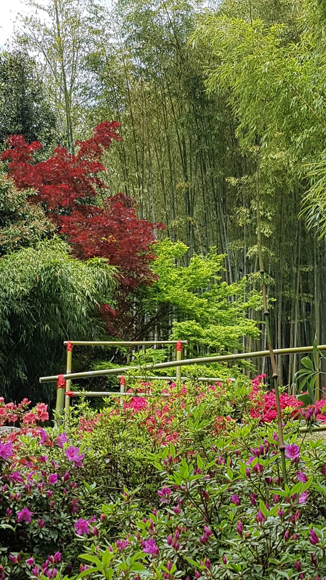 20190425_125558.webp