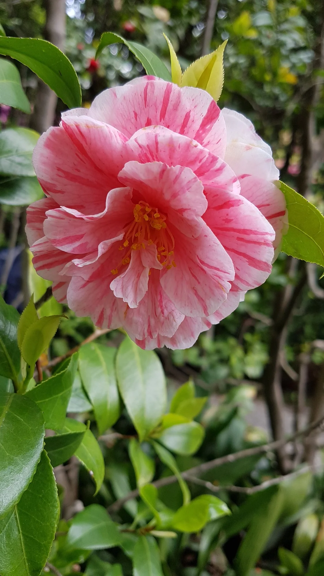20190425_132154.webp