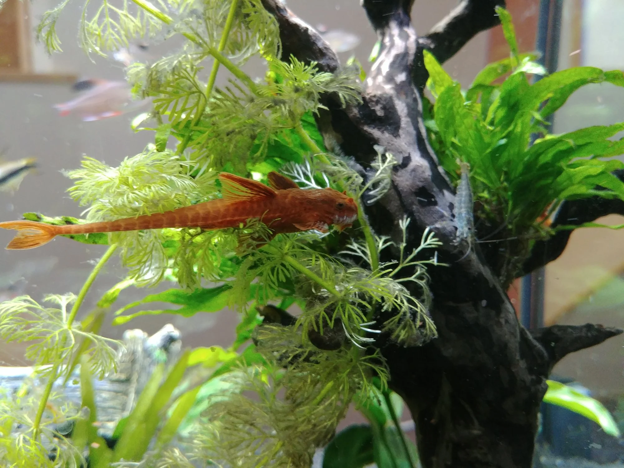 20190430_143640.webp