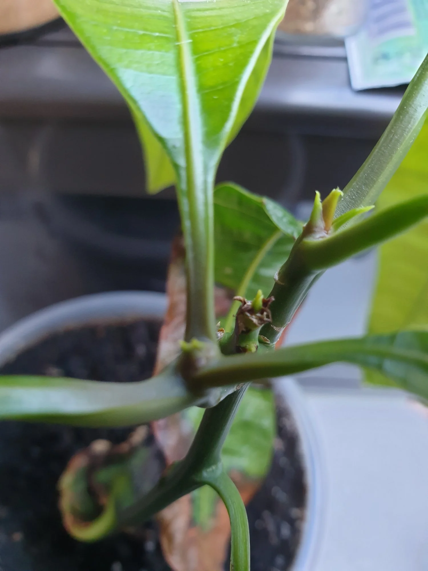 20190430_182950.webp