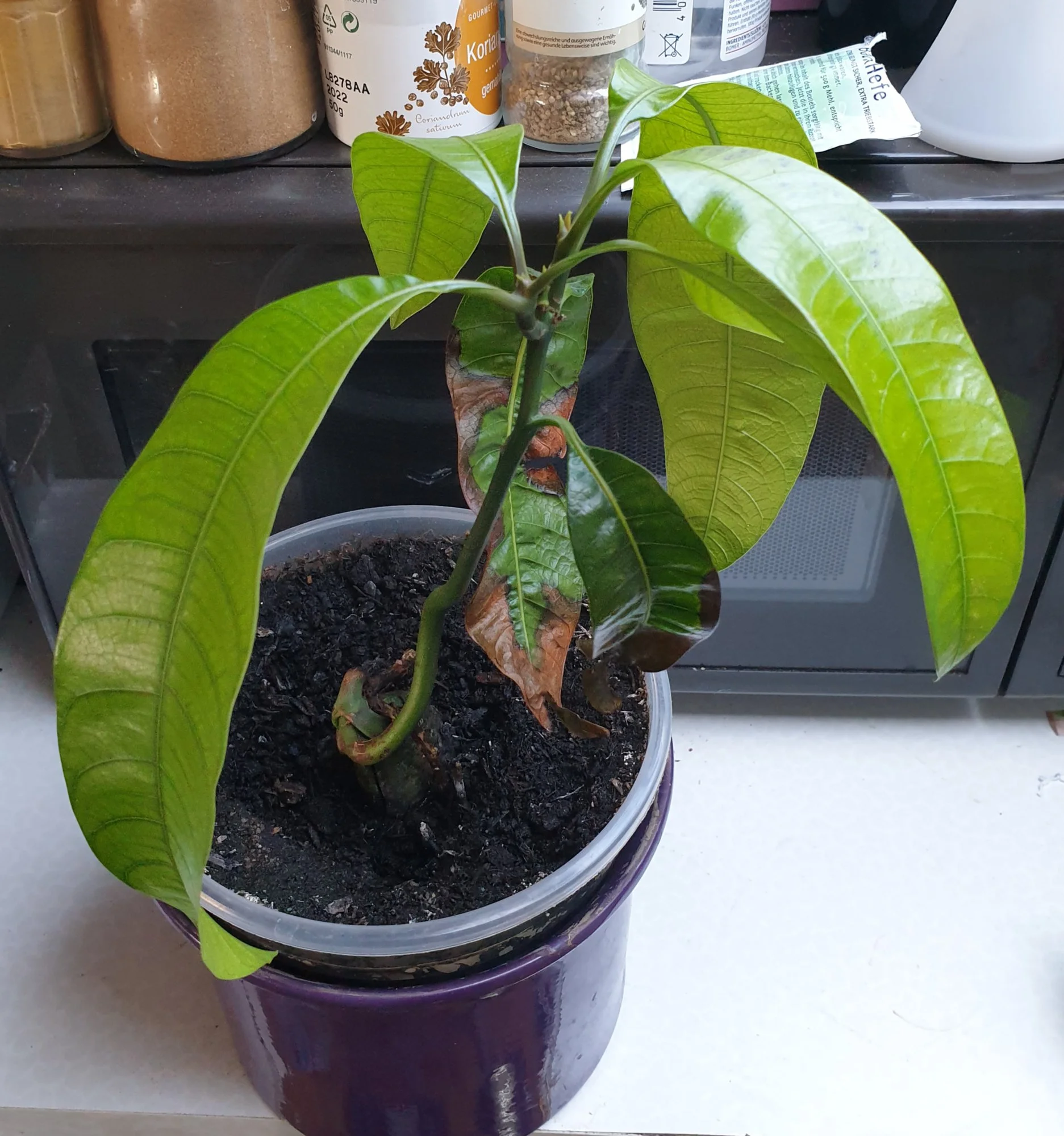 20190430_185345.webp
