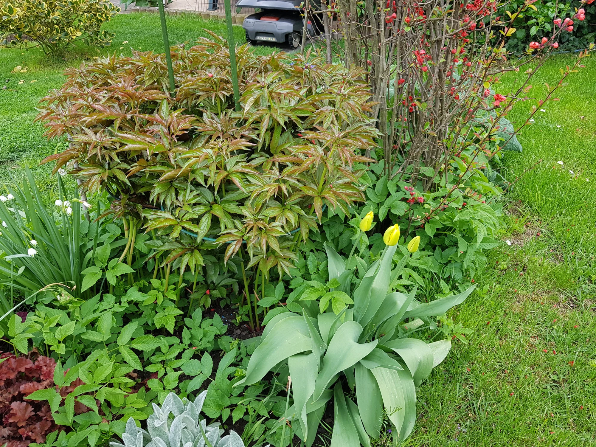 20190502_140041.webp