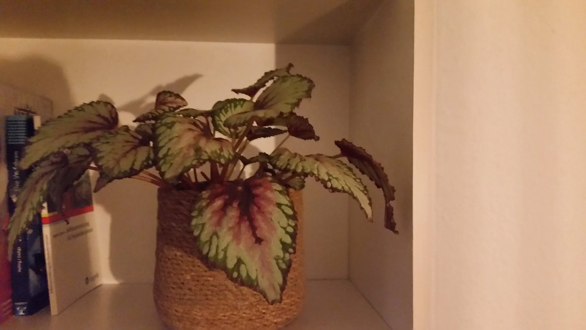 20190504_213028.webp