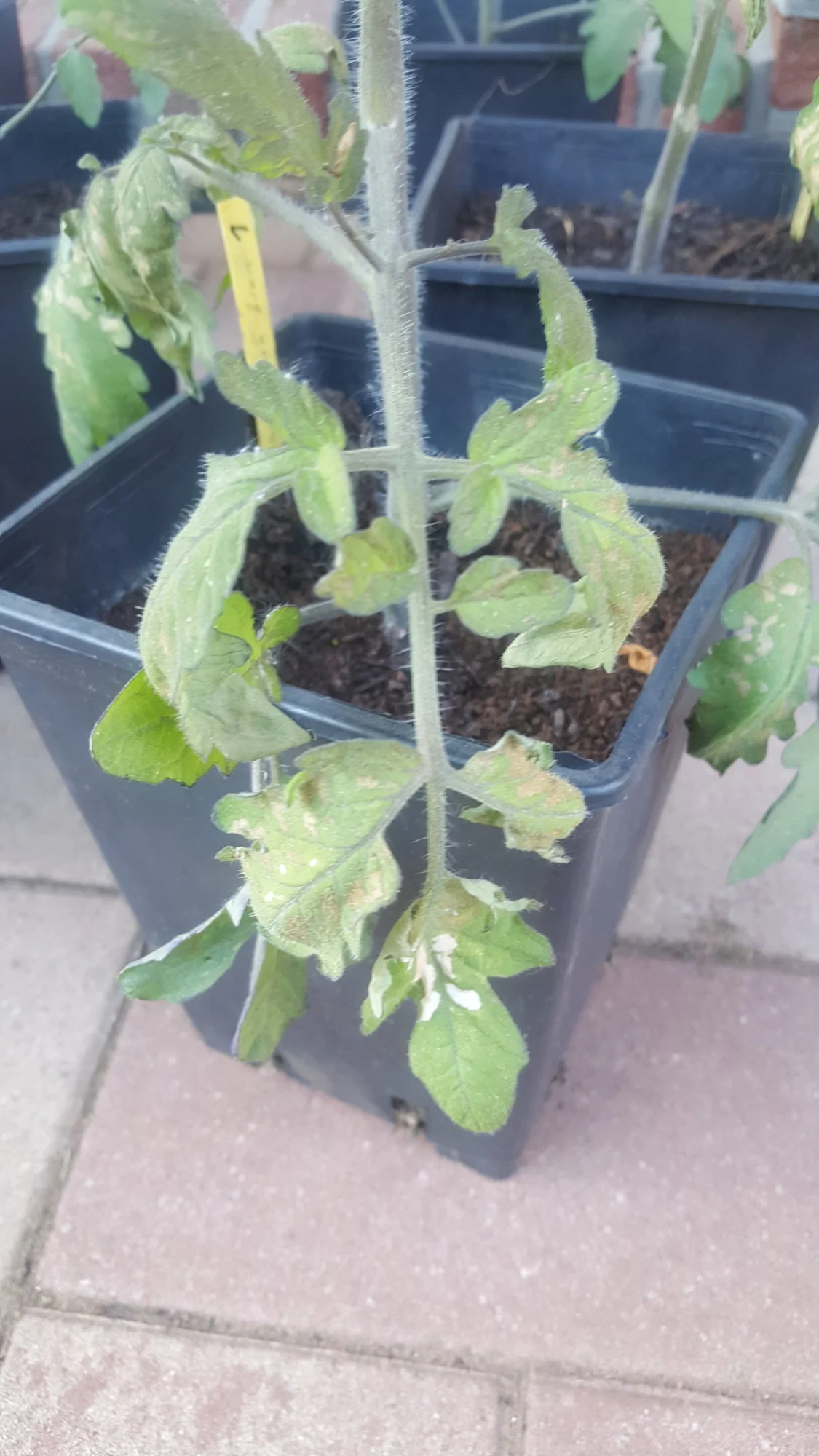 20190505_191829.webp