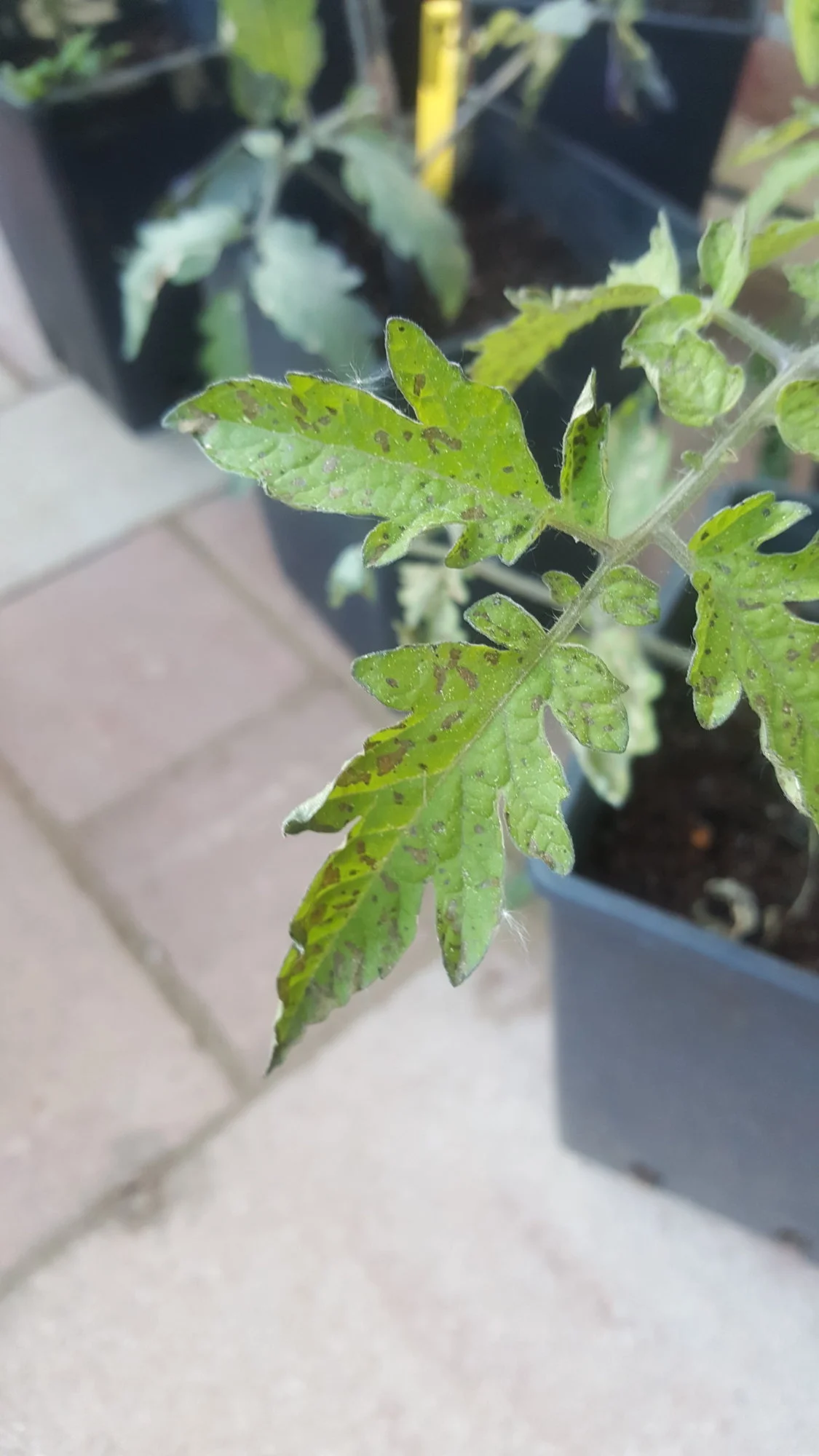 20190505_191846.webp