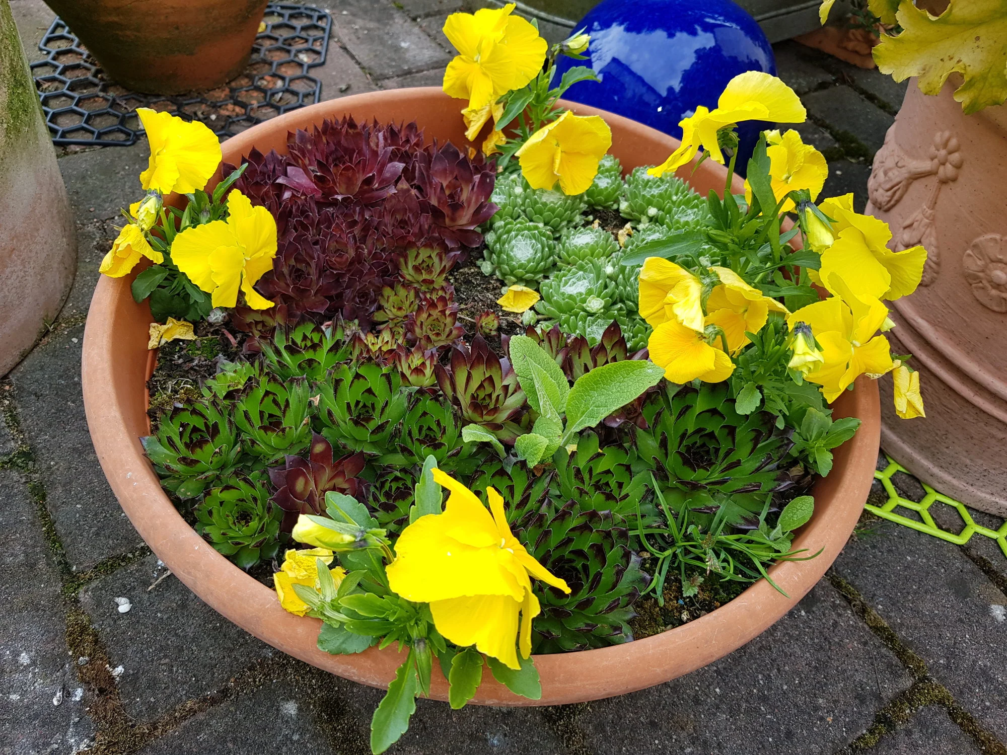 20190507_133415.webp