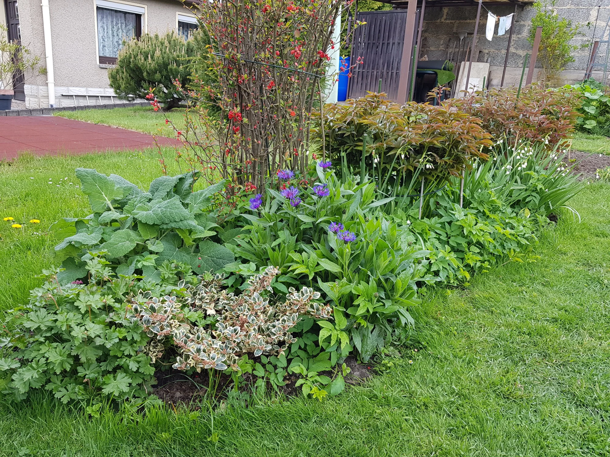 20190507_133646.webp