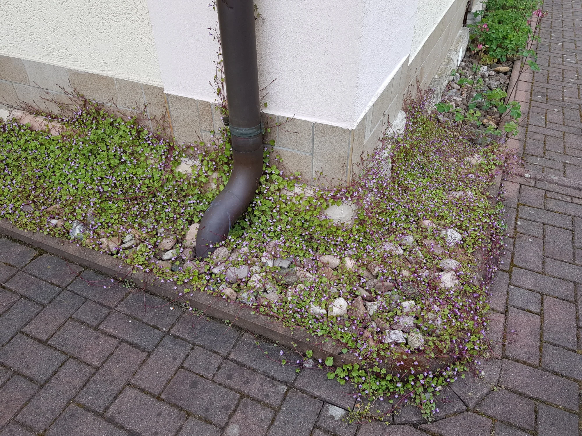 20190507_134356.webp