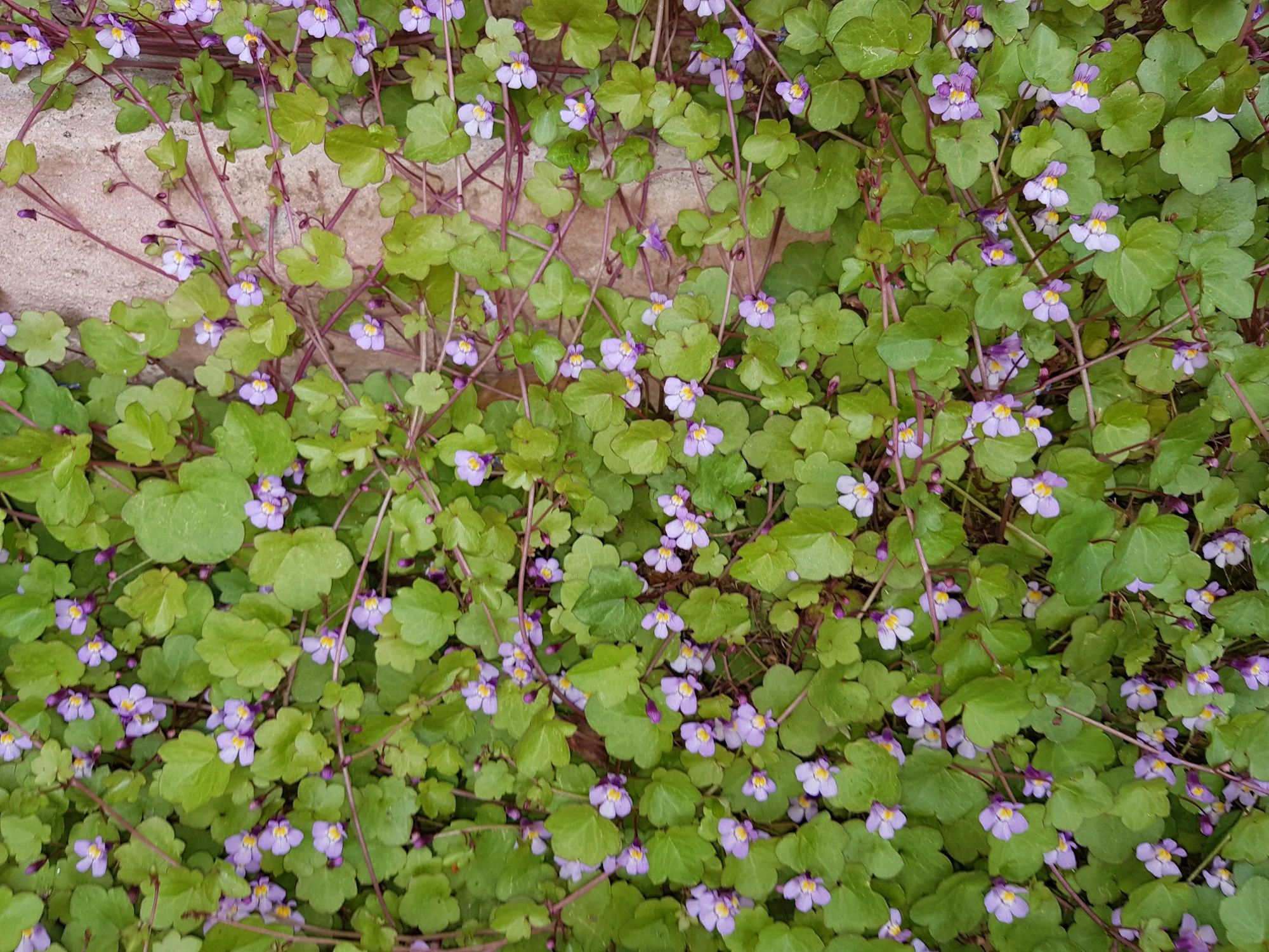 20190507_134411.webp