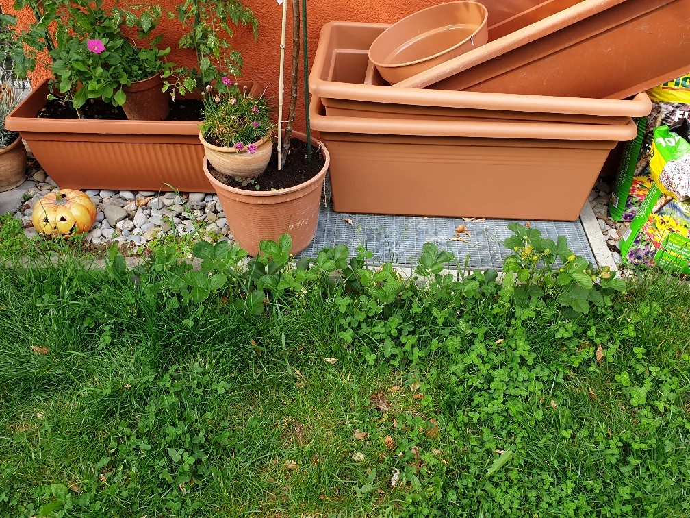 20190519_184642_resized(1).webp
