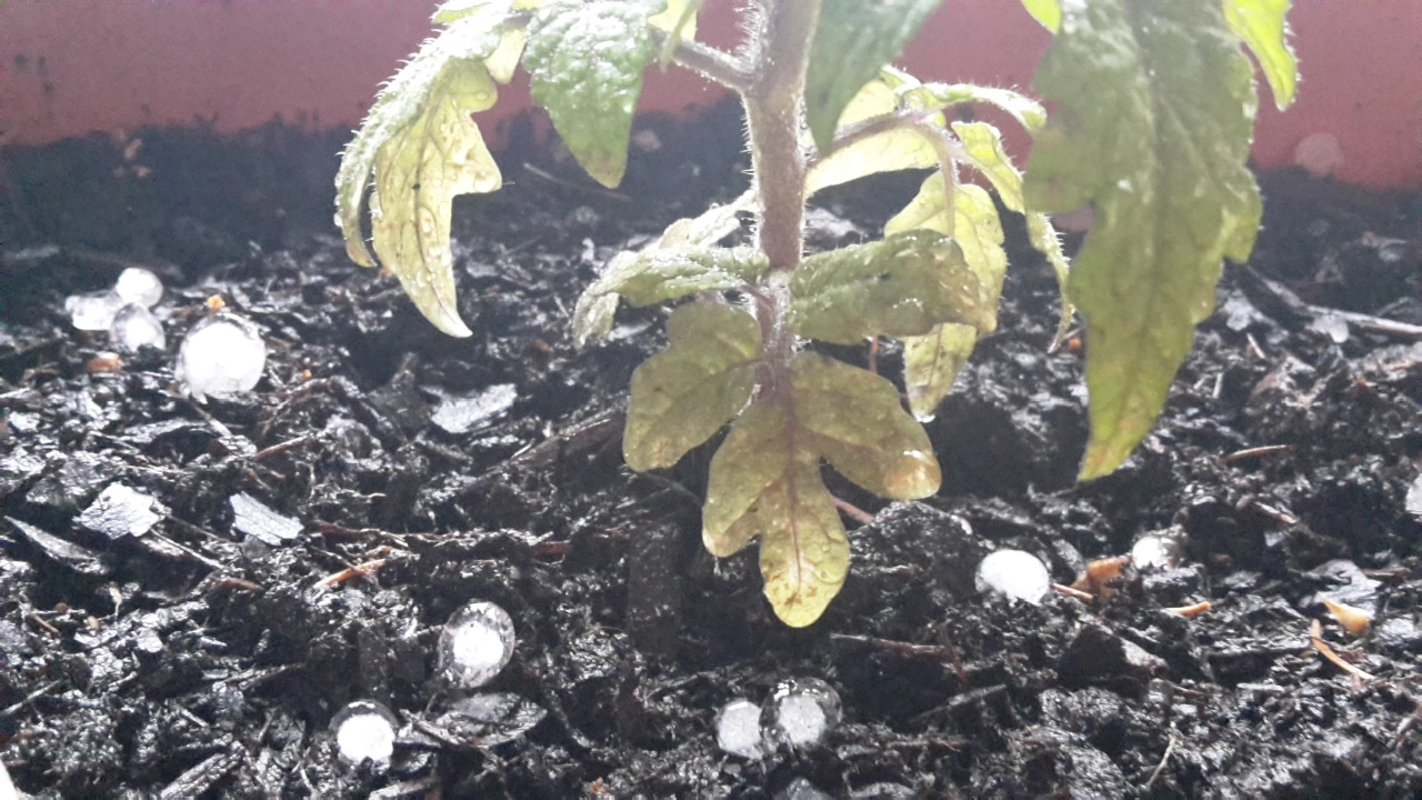 20190520_173117.webp