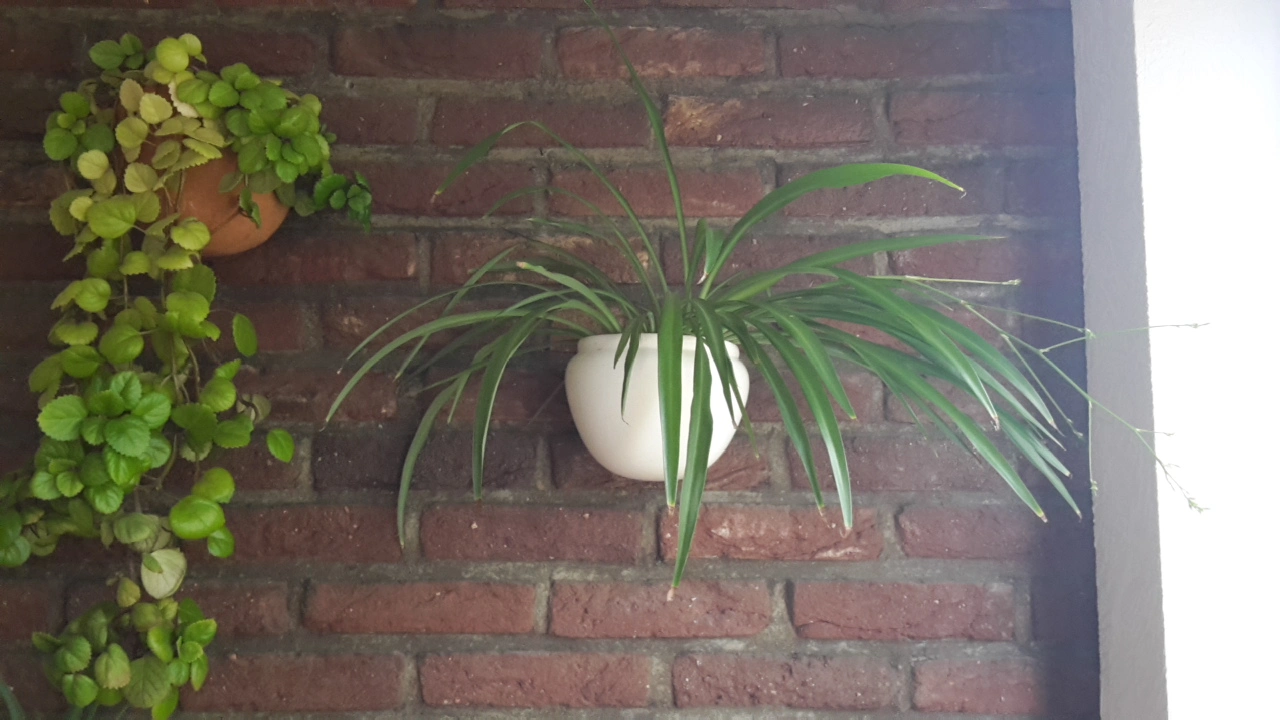 20190522_091946.webp