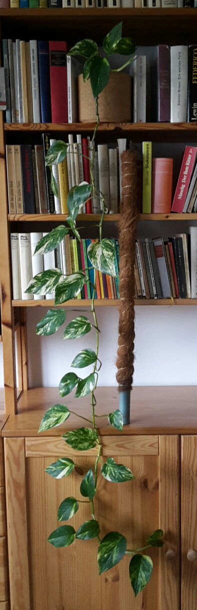 20190522_104556-1-jpg.619324