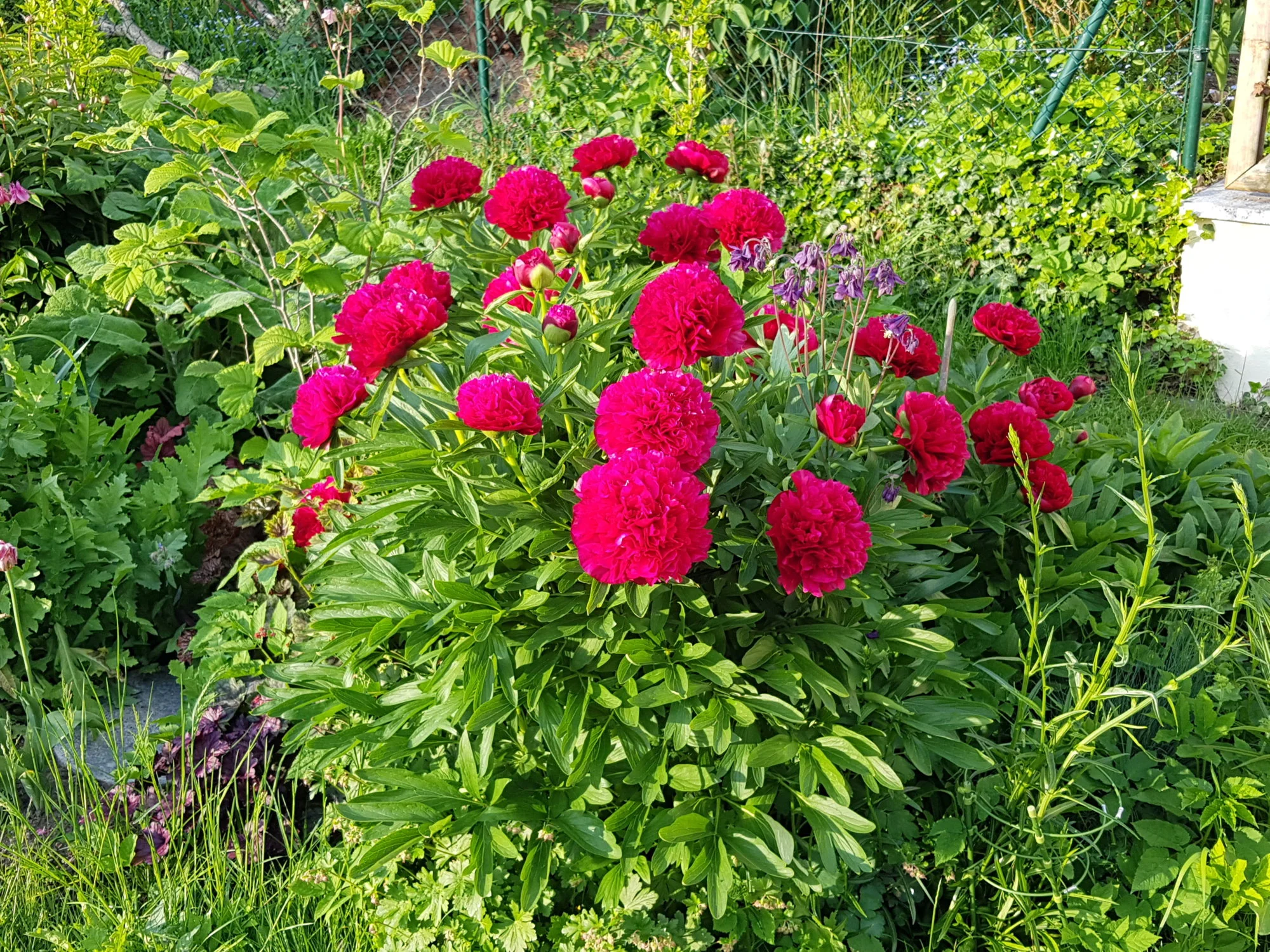 20190526_191922.webp