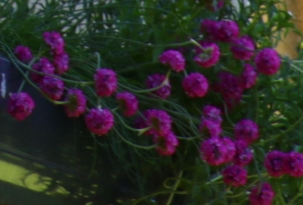 20190529_160803(1).webp
