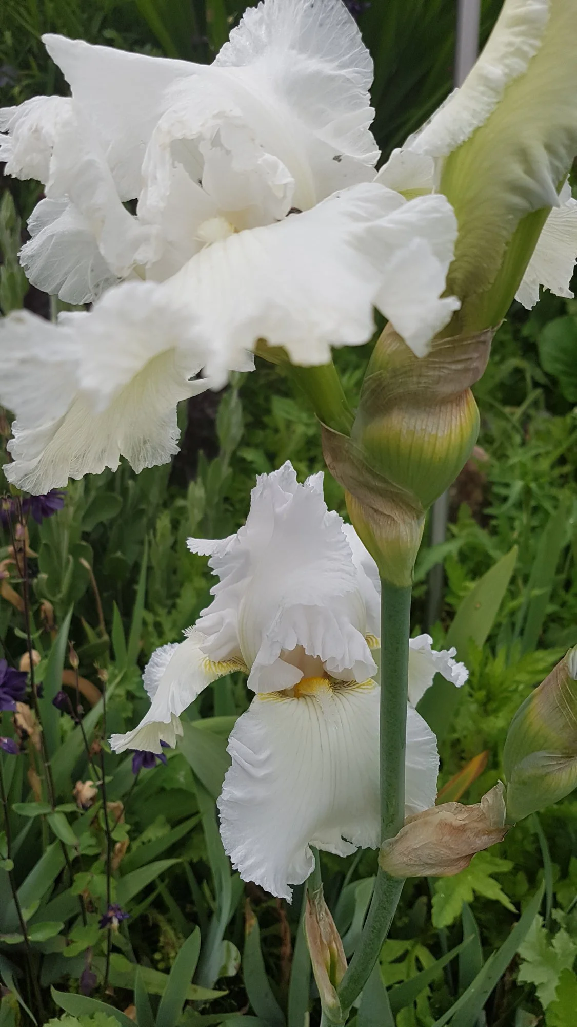 20190530_152309.webp