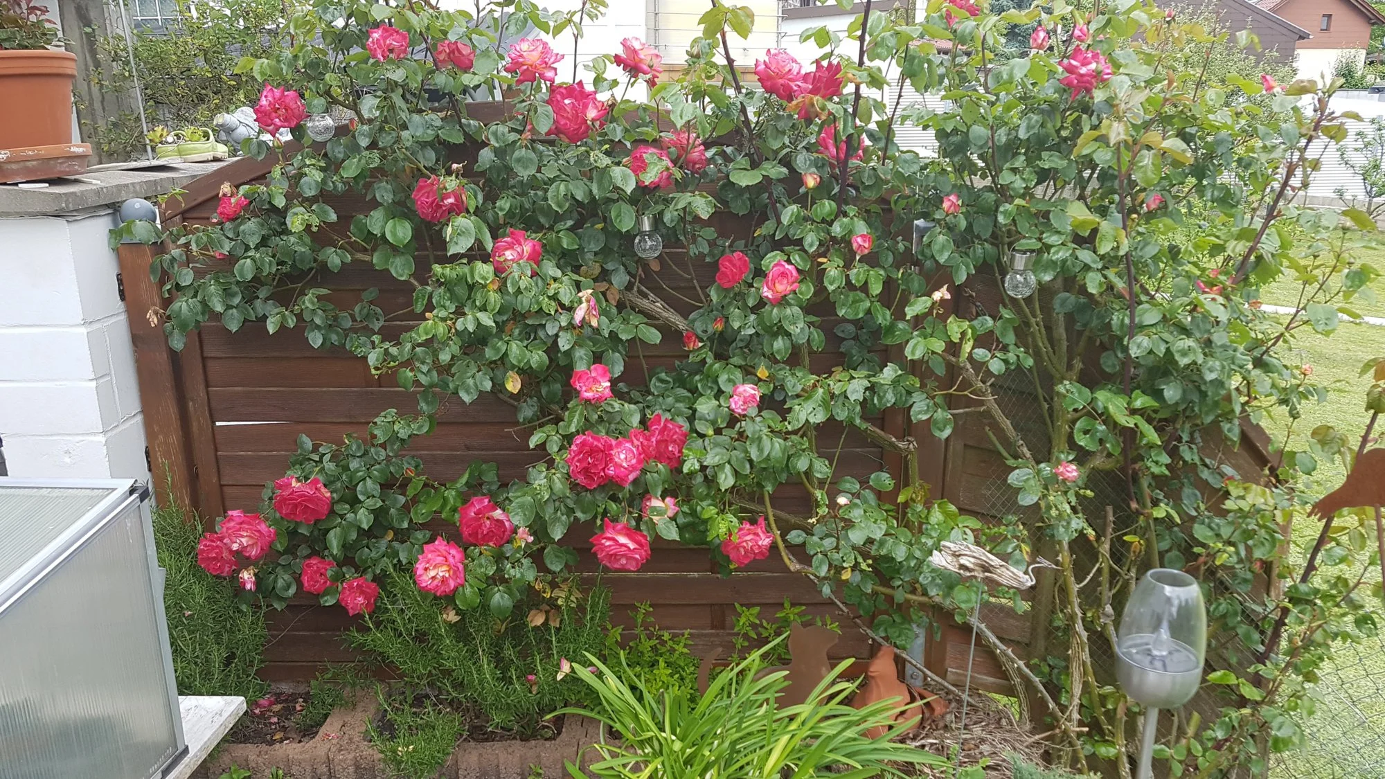 20190530_152410.webp
