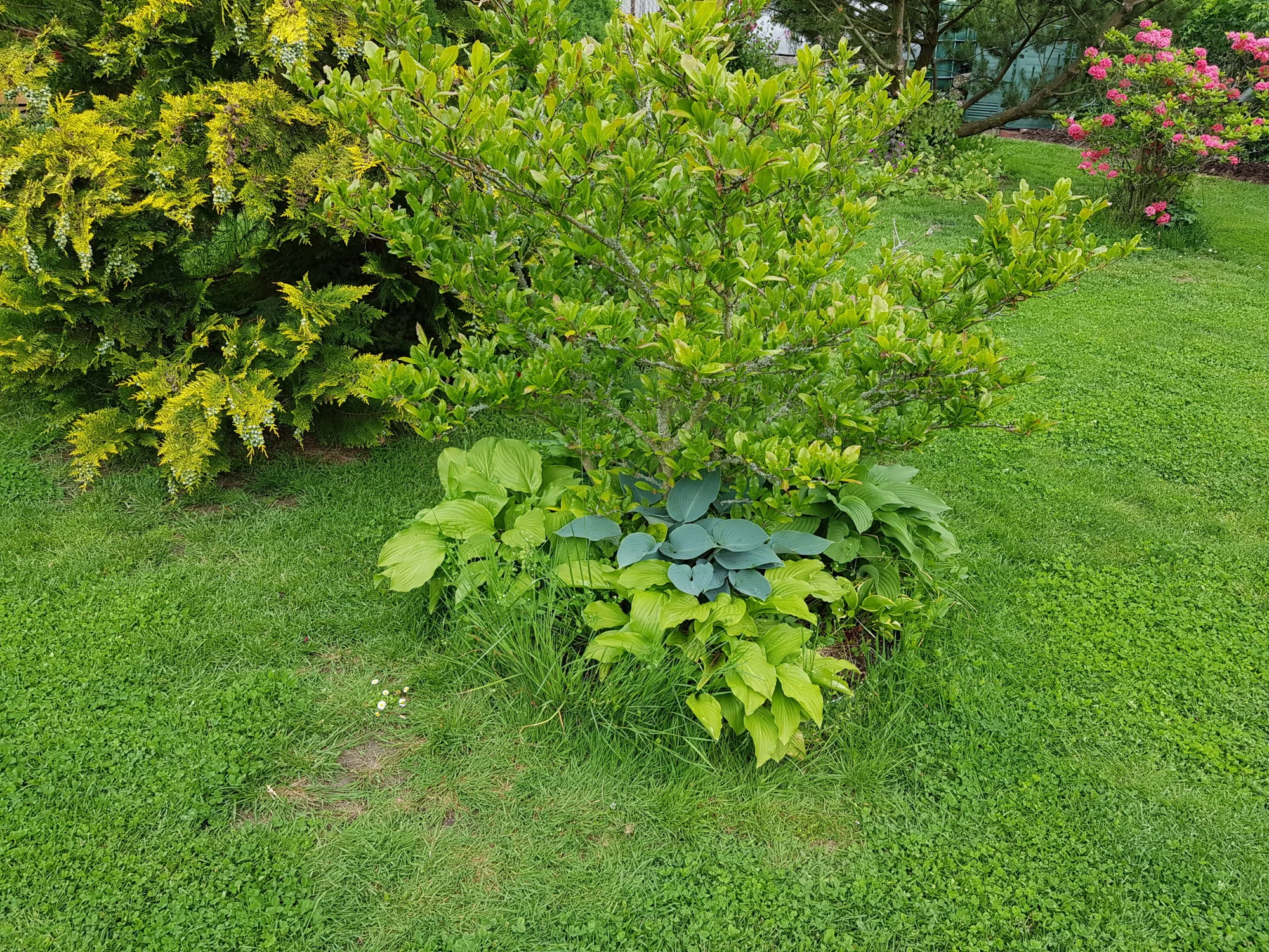 20190531_123413.webp