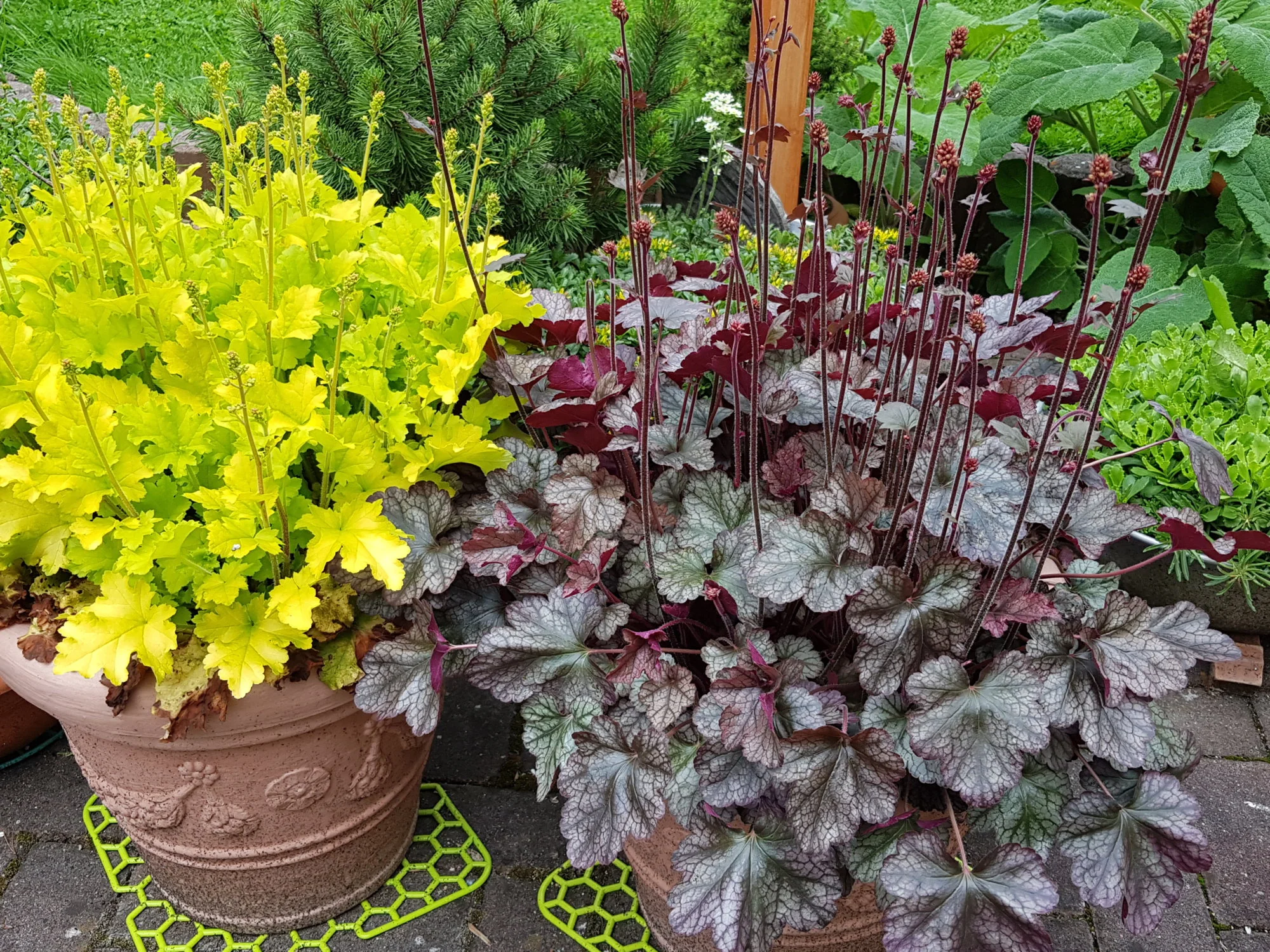 20190531_123808.webp