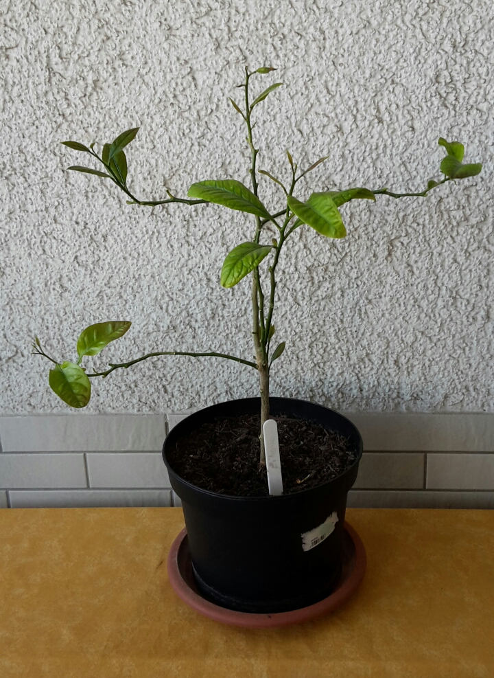 20190603_072631-1.webp