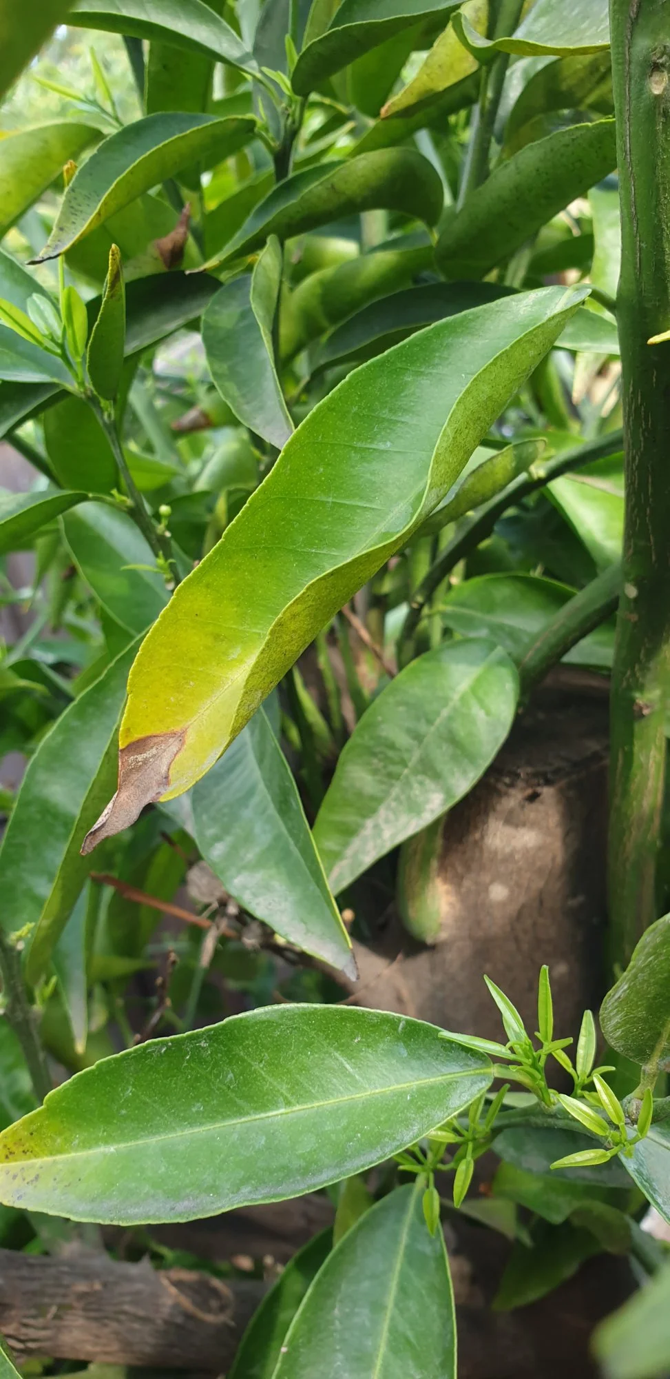 20190605_090137.webp