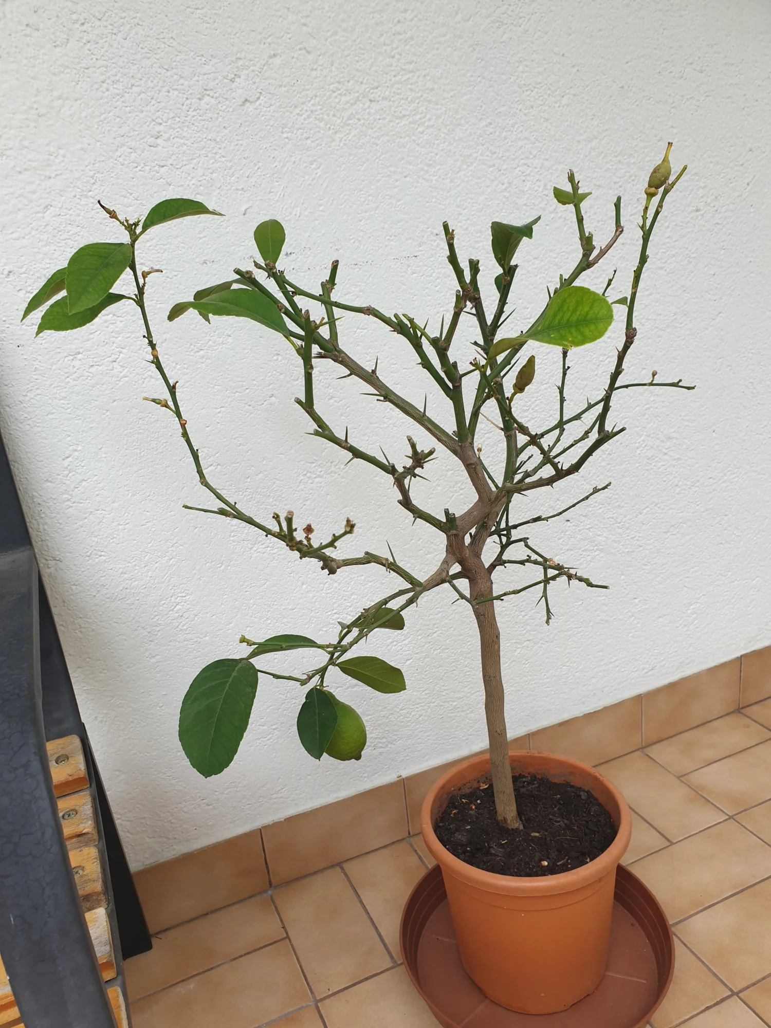 20190606_093200.webp