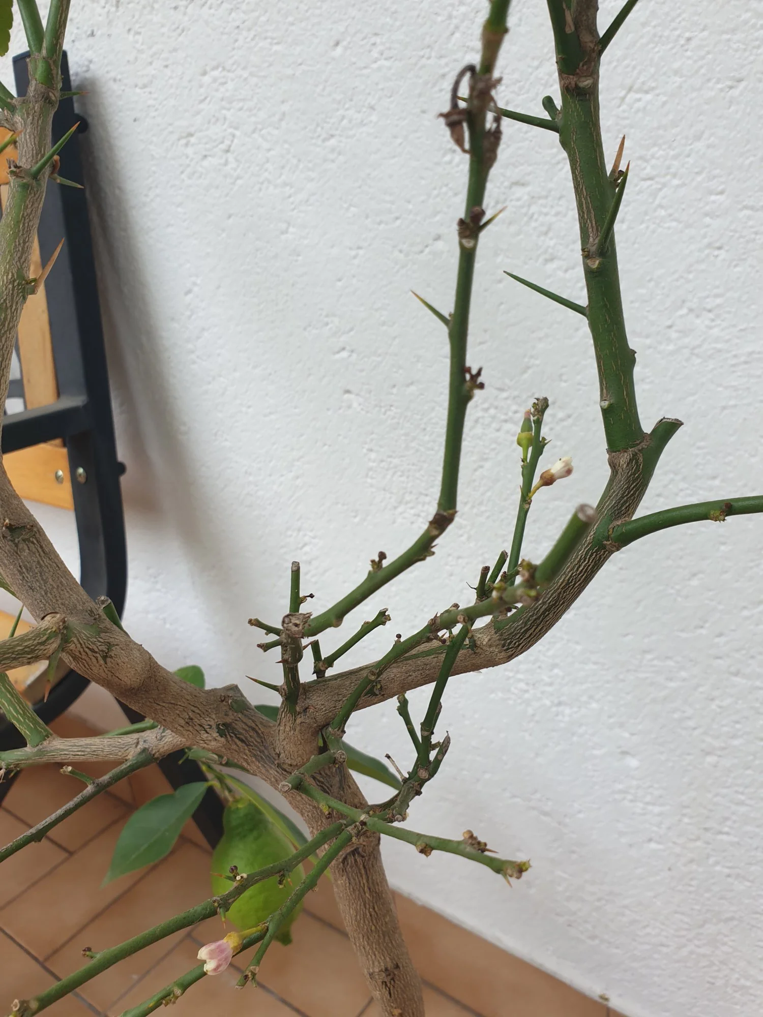 20190606_093222.webp