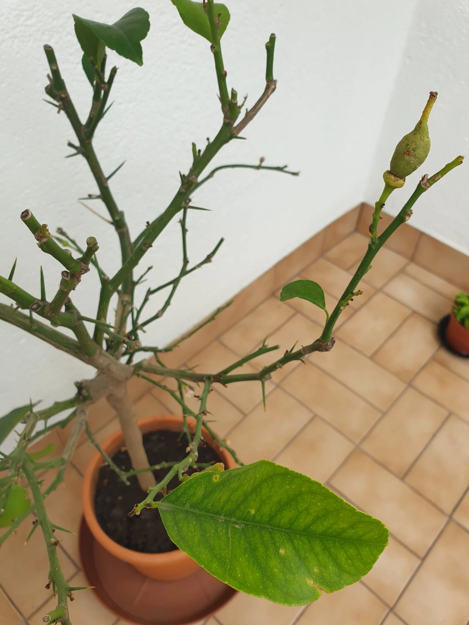 20190606_093254.webp