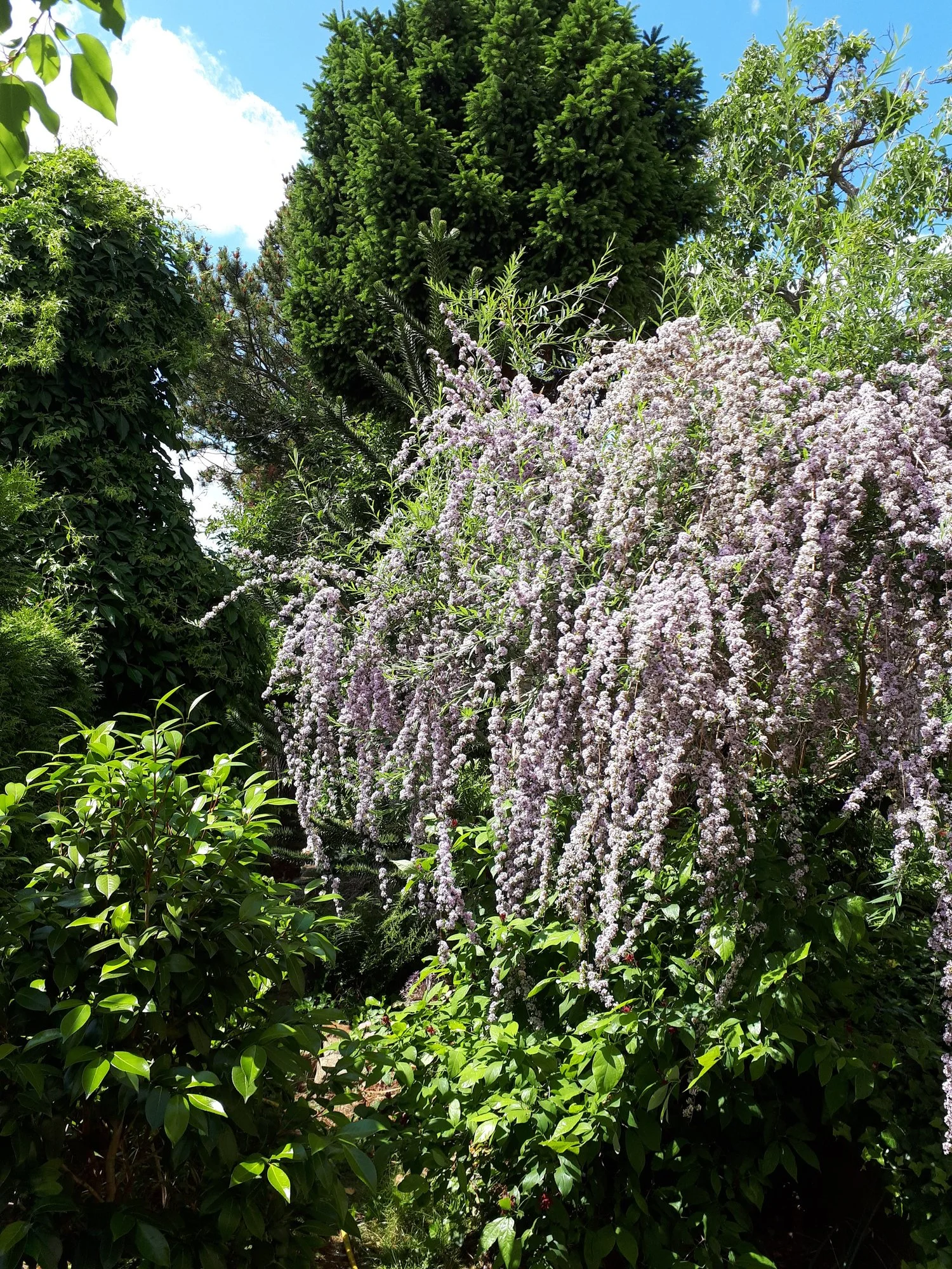 20190608_125750.webp