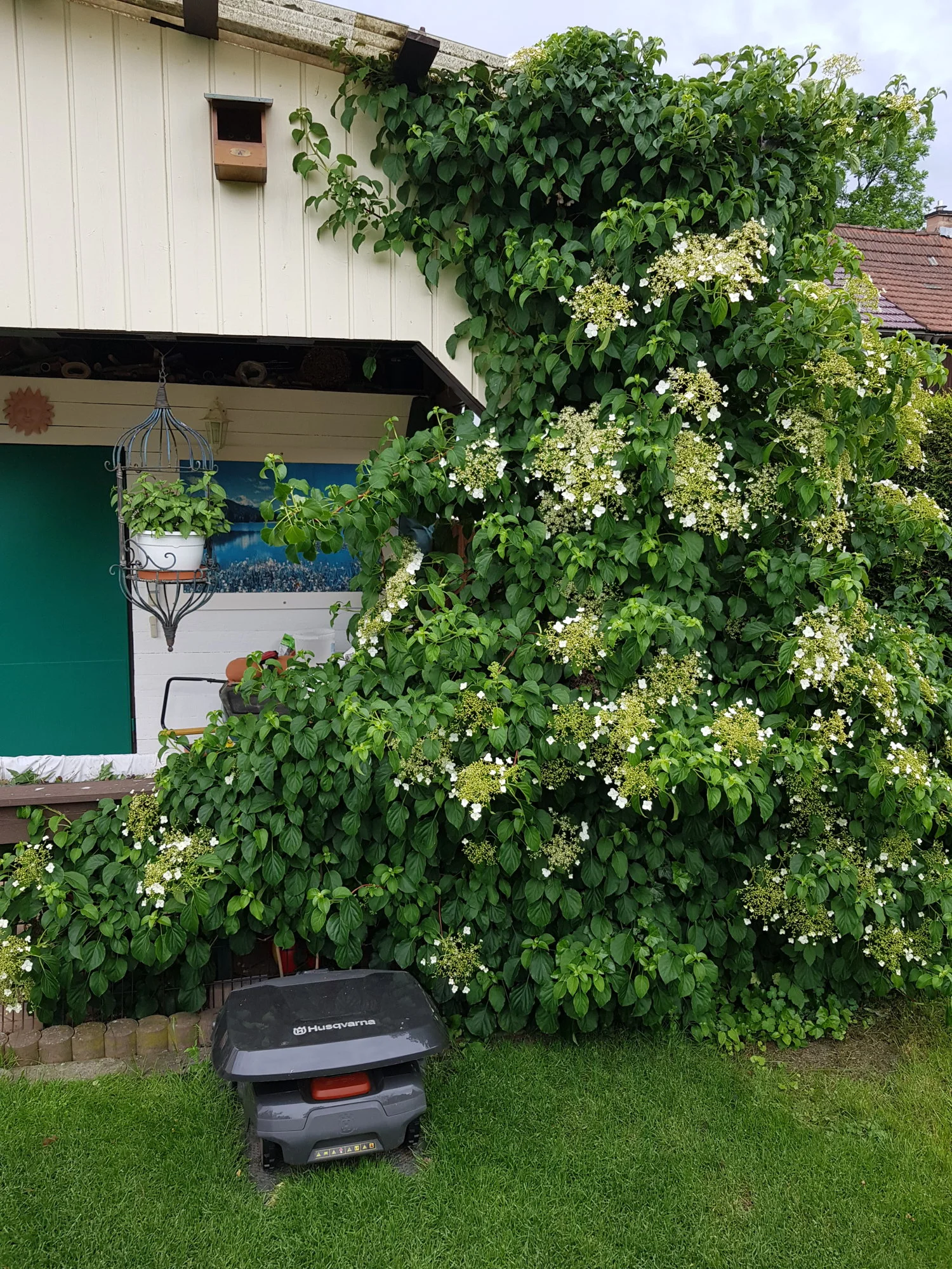 20190609_171146.webp