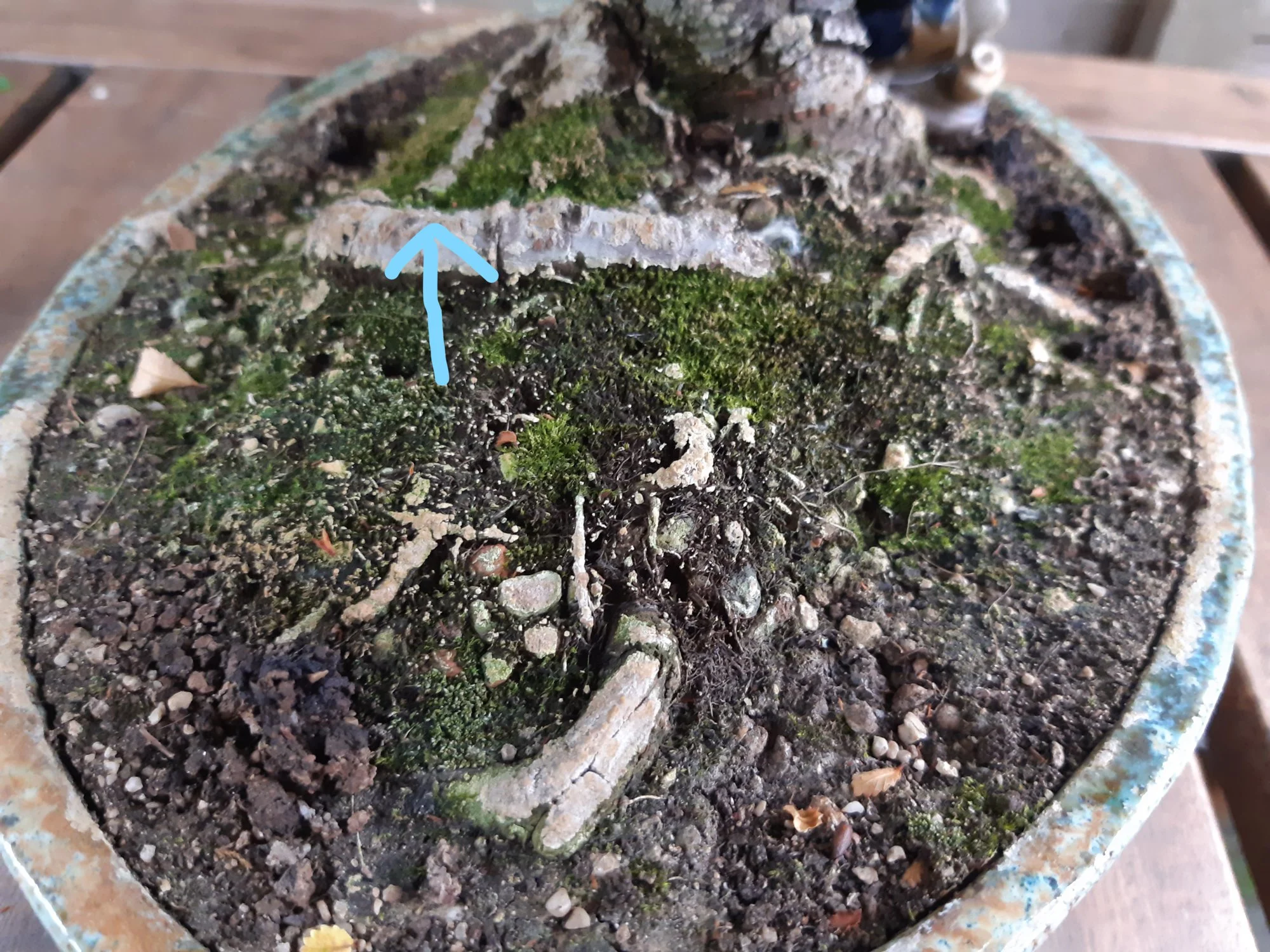 20190614_180503_LI.webp
