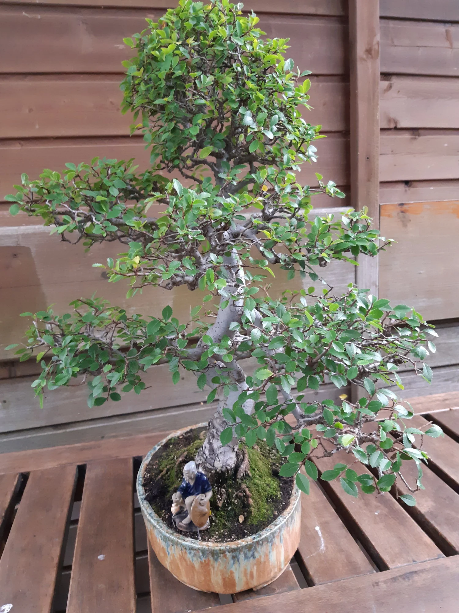 20190614_193313.webp