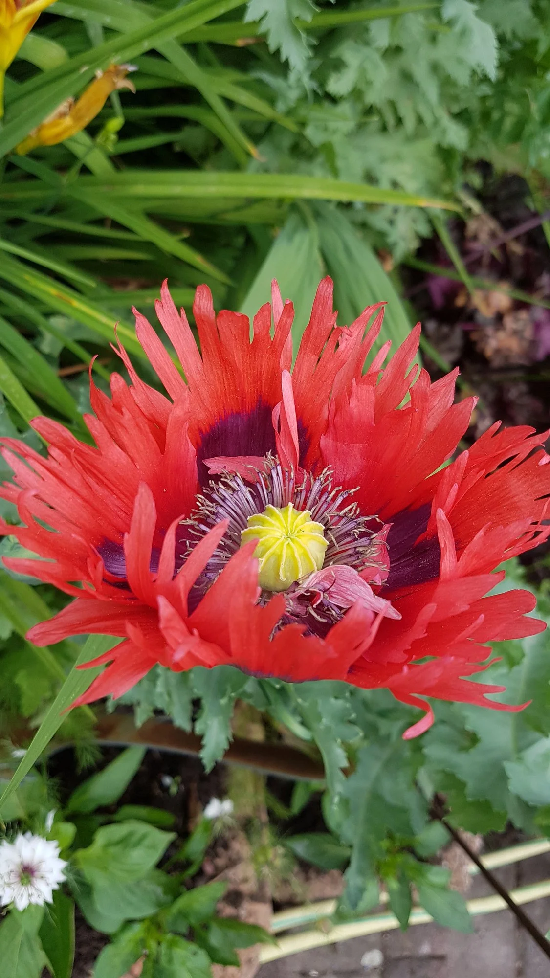 20190616_125537.webp