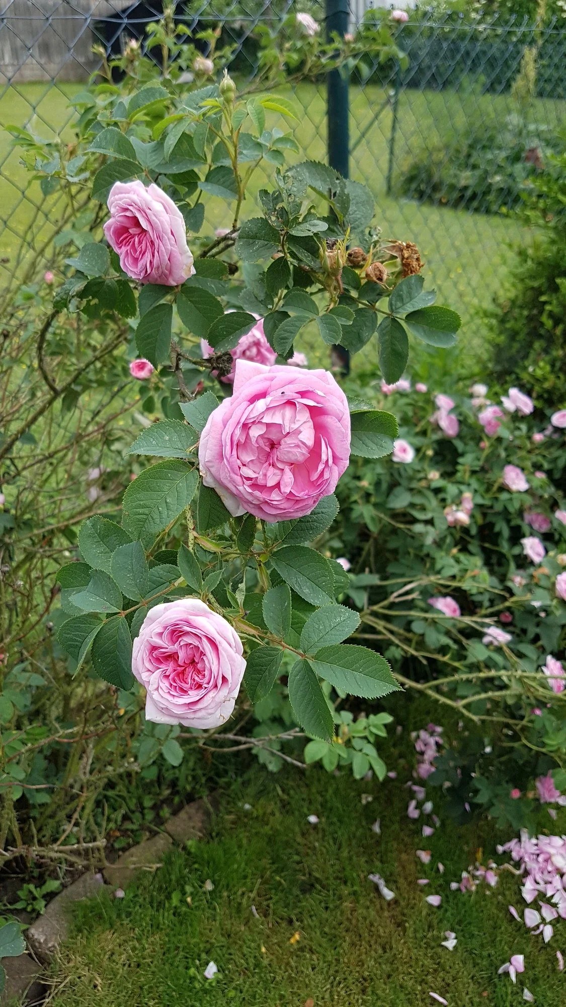 20190616_125612.webp