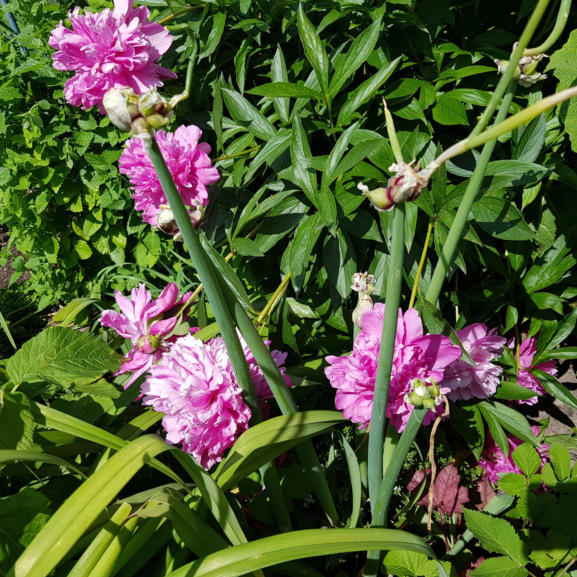 20190618_144056.webp