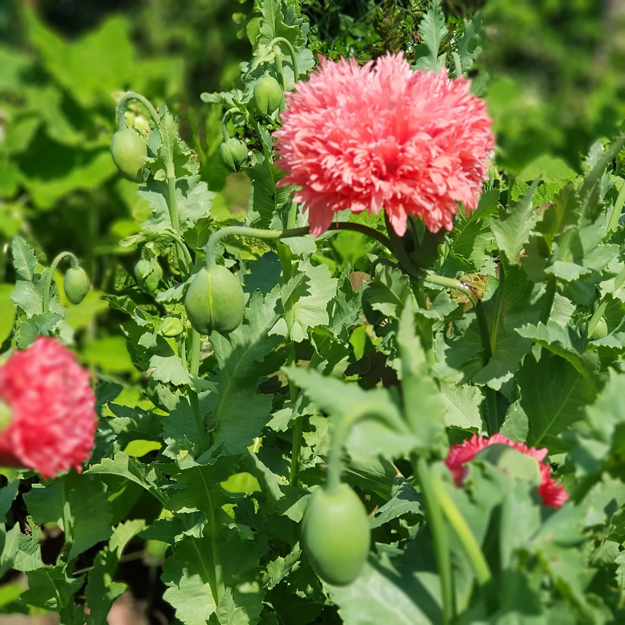 20190618_144507.webp